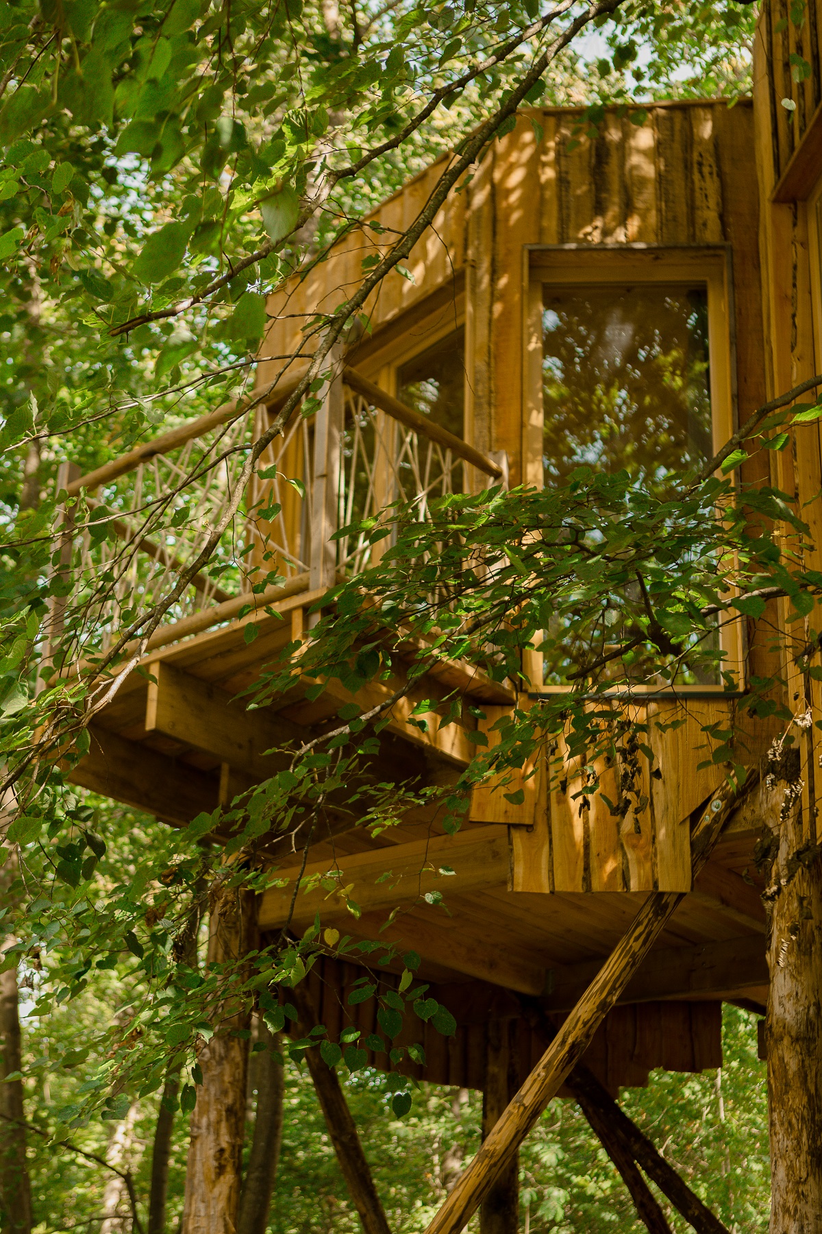Cabane Spa Plus Epopée : une escapade enchantée dans les arbres — Cabane à Raray