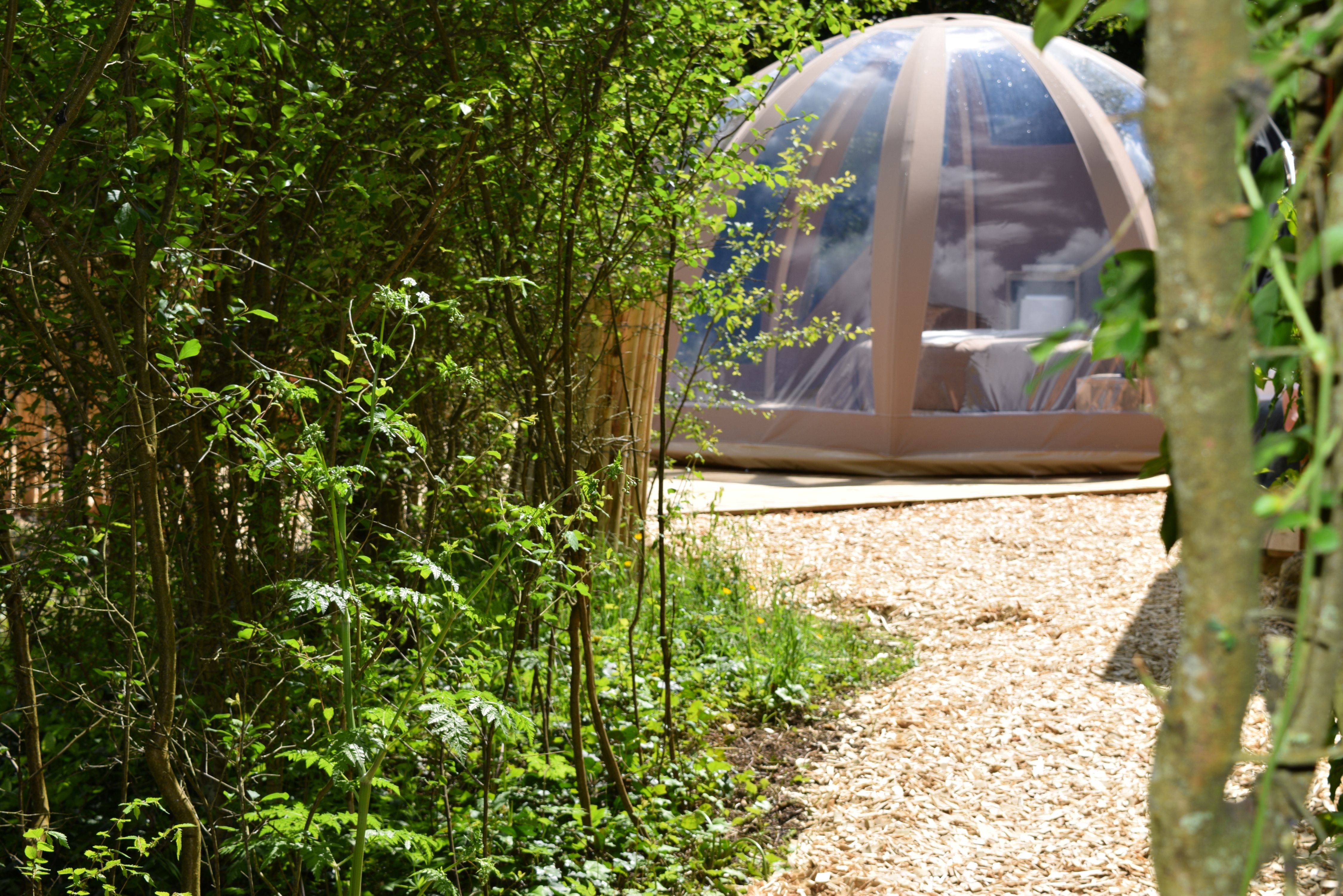 Bulle de nature famille & Spa — Nuit étoilée à Maine-et-Loire à Angers — vue intérieure