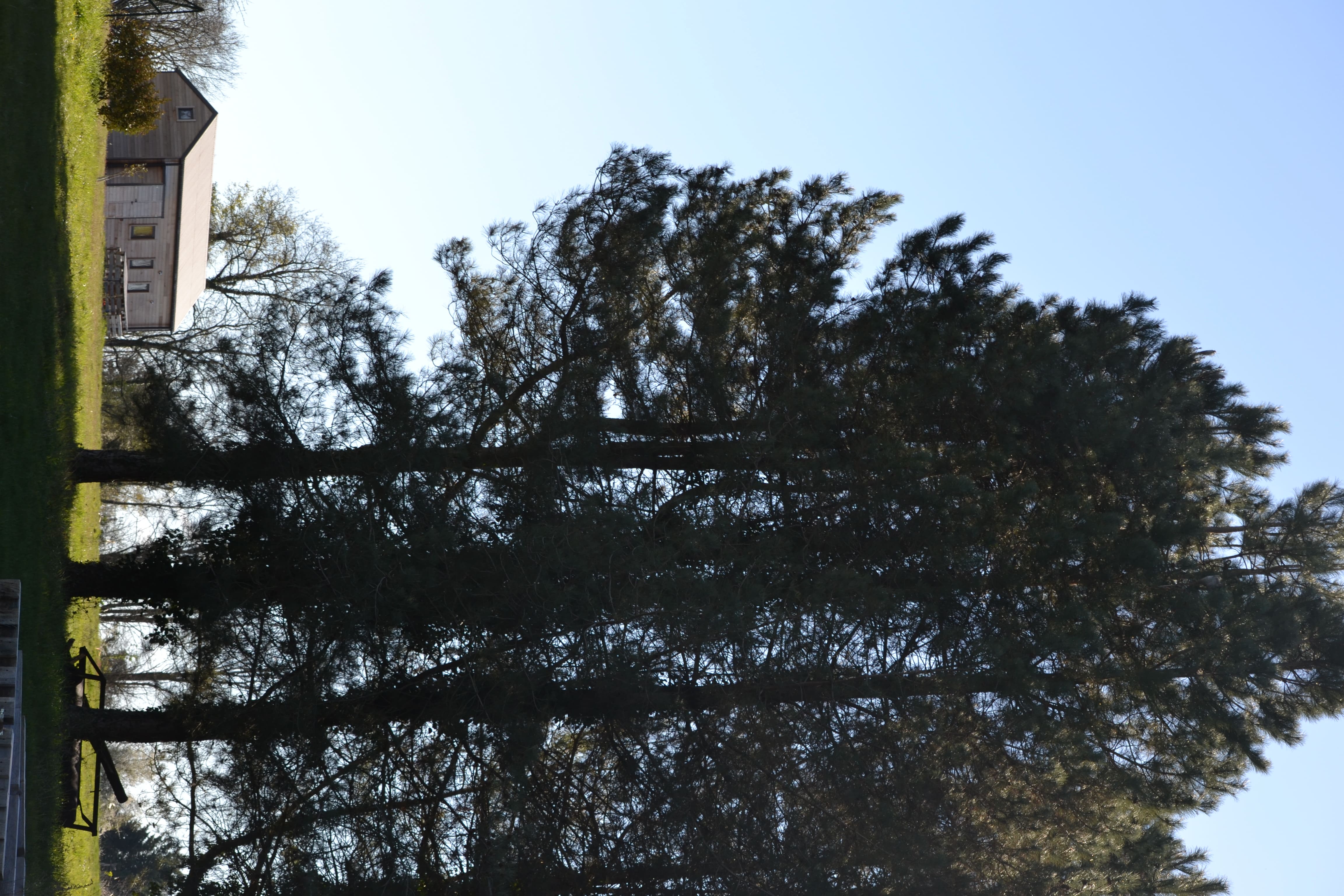 Cabane de l'Ecureuil — Écolodge avec bain nordique à Loir-et-Cher à La Ferté-Imbault — vue depuis la terrasse