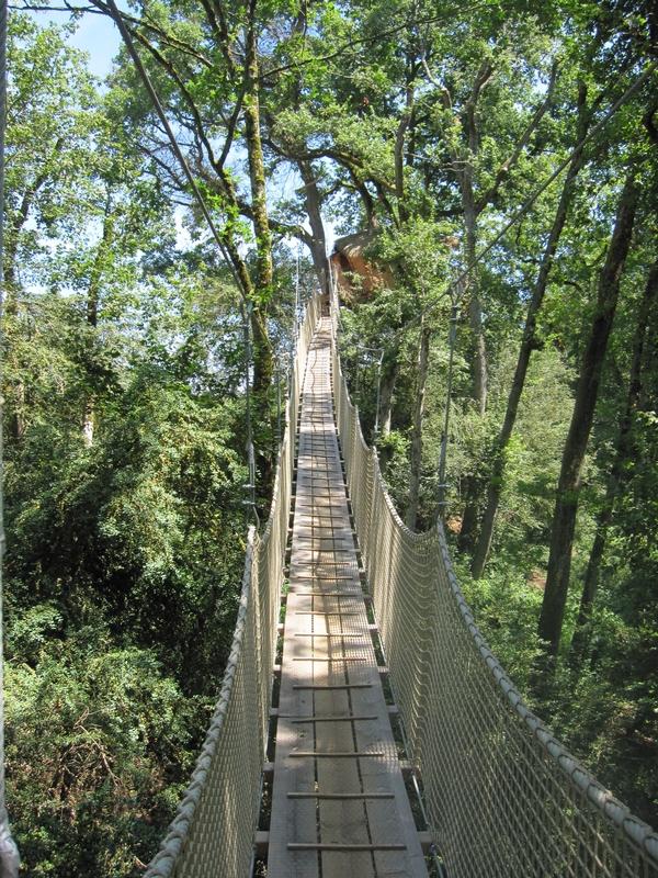 Cabane des Buis : une échappée belle dans les arbres à Magné — espace de vie