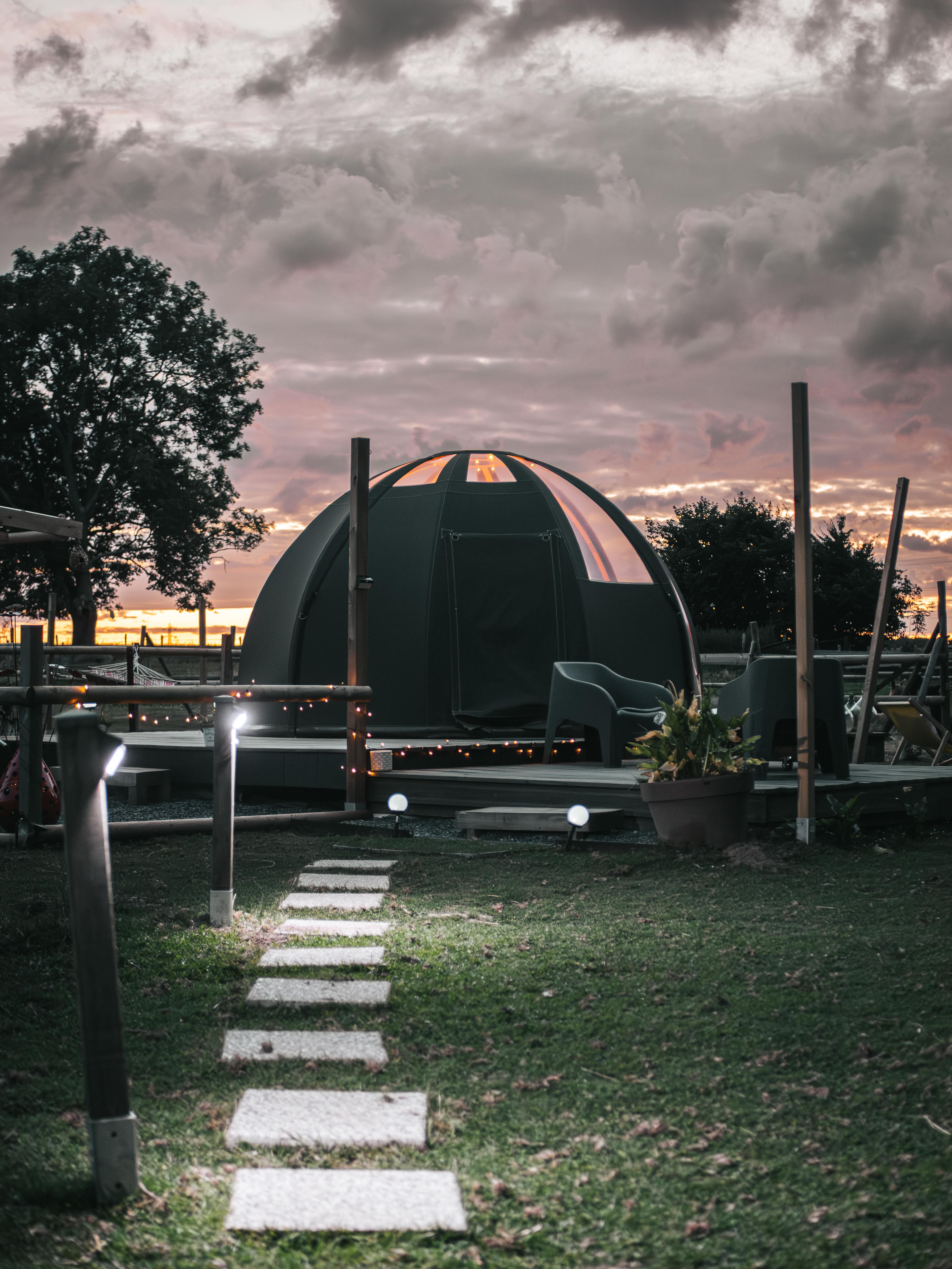 Les alpagas du clos — Nuit insolite avec vue sur les alpagas en Seine-Maritime à Rouen — environnement naturel