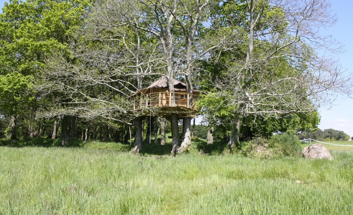 La Cabane perchée Folenn : une expérience unique dans les arbres à Ploemel — vue intérieure