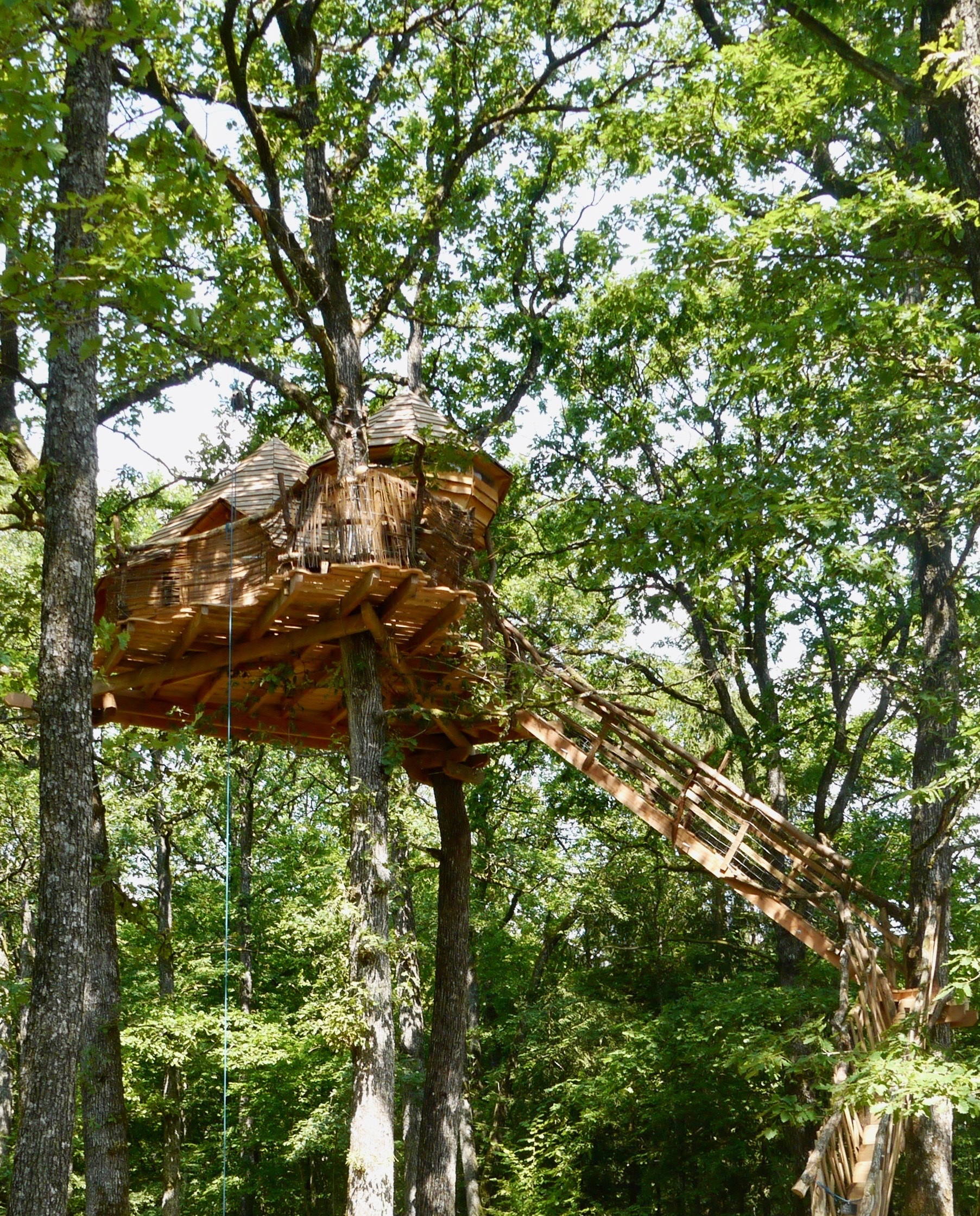 Arbràmâne : une cabane perchée au cœur de la Lorraine — Cabane à Vittel