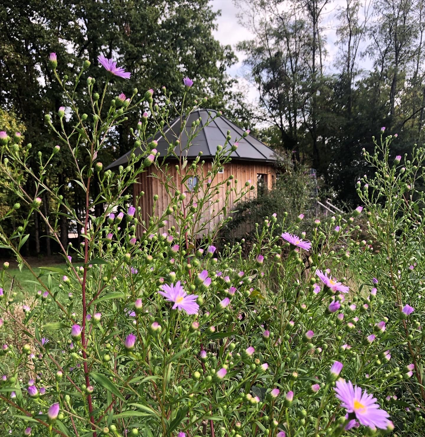 Le P'tiot Utau — Cabane dans les arbres avec spa à Jura