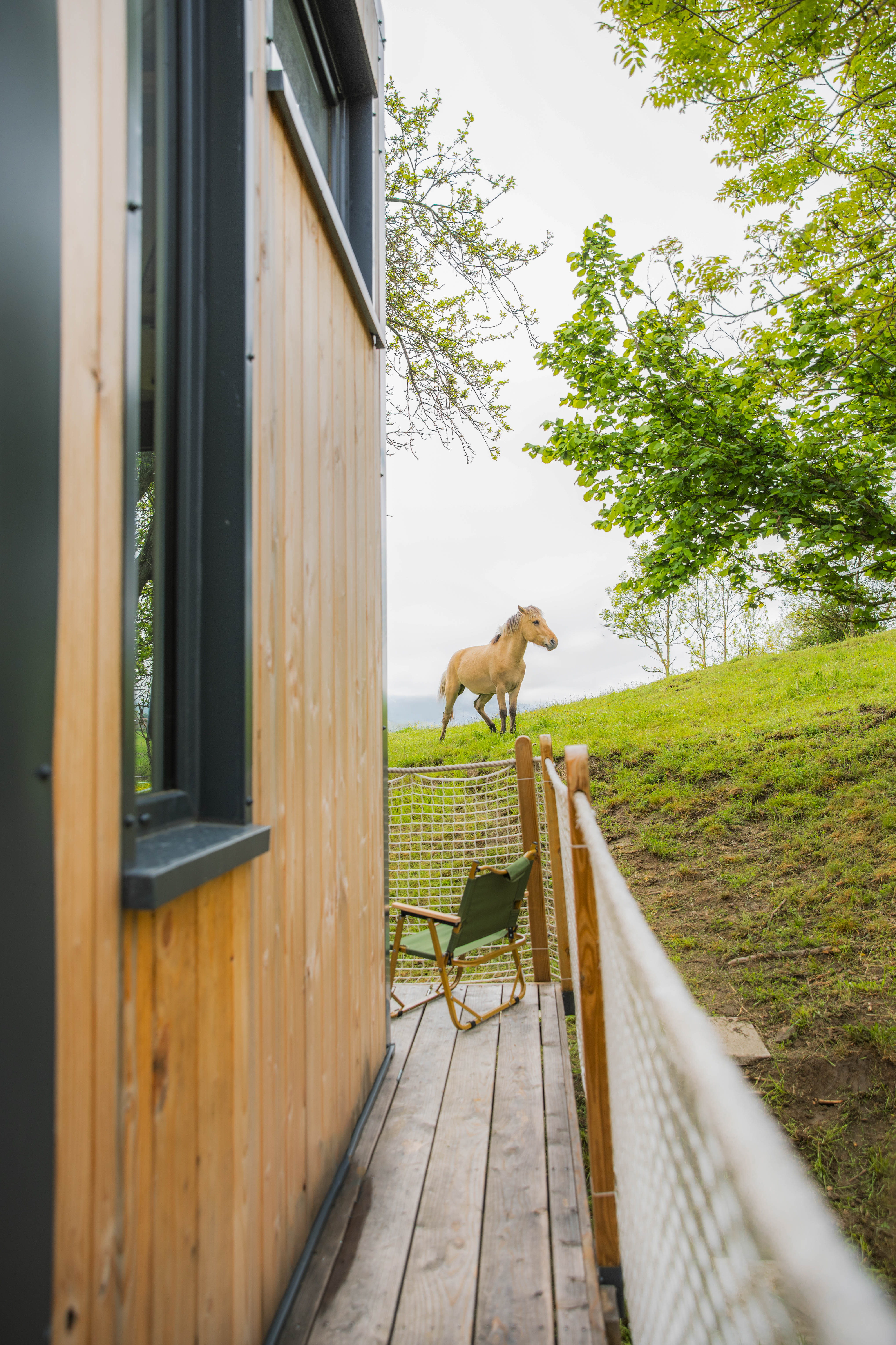 La Clairière de Peylenc : une tiny house au cœur de l'Auvergne à Saint-Pierre-Eynac — salle de bain