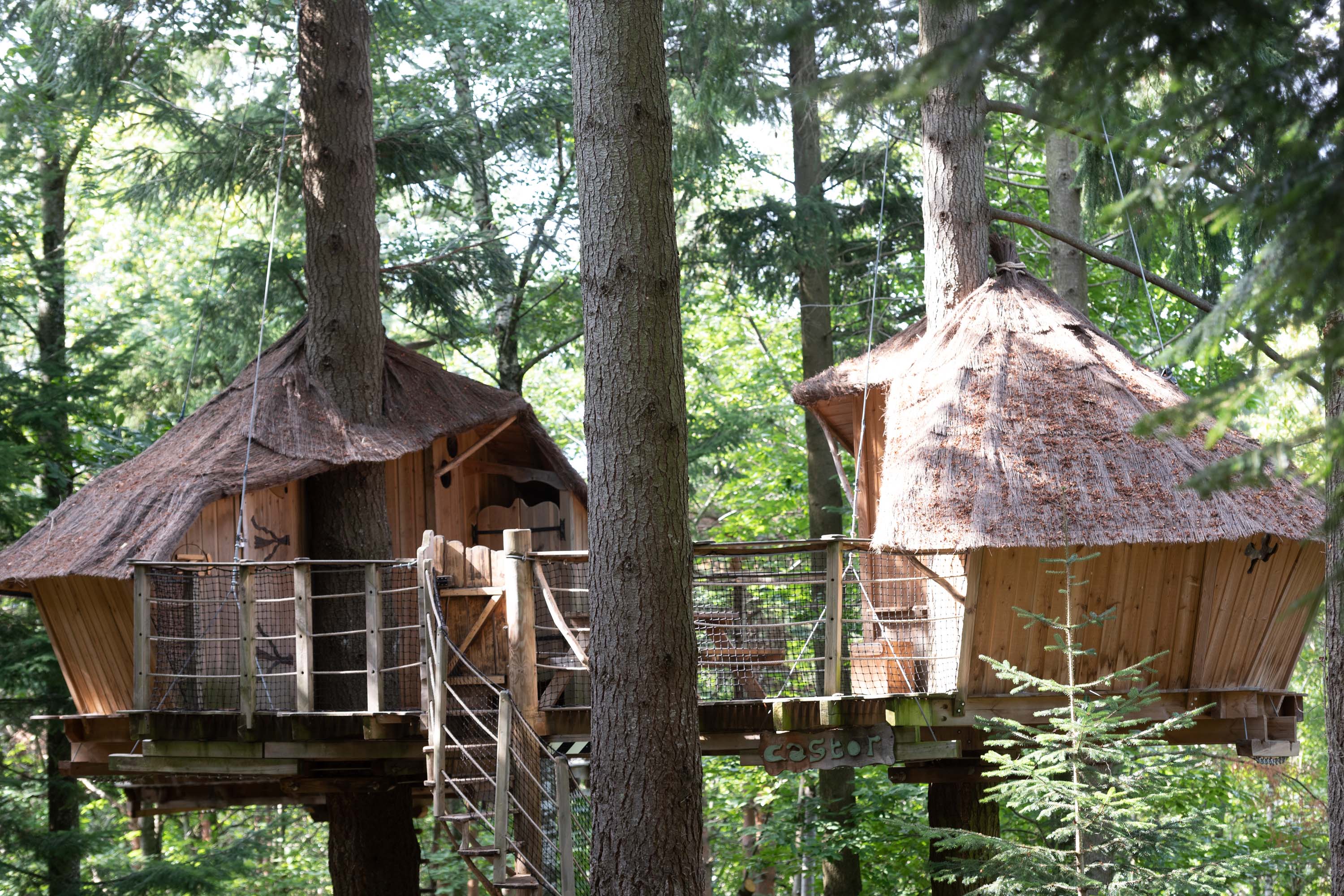 Cabane Castor : une expérience unique dans les arbres à Saint-Julien-Labrousse — chambre