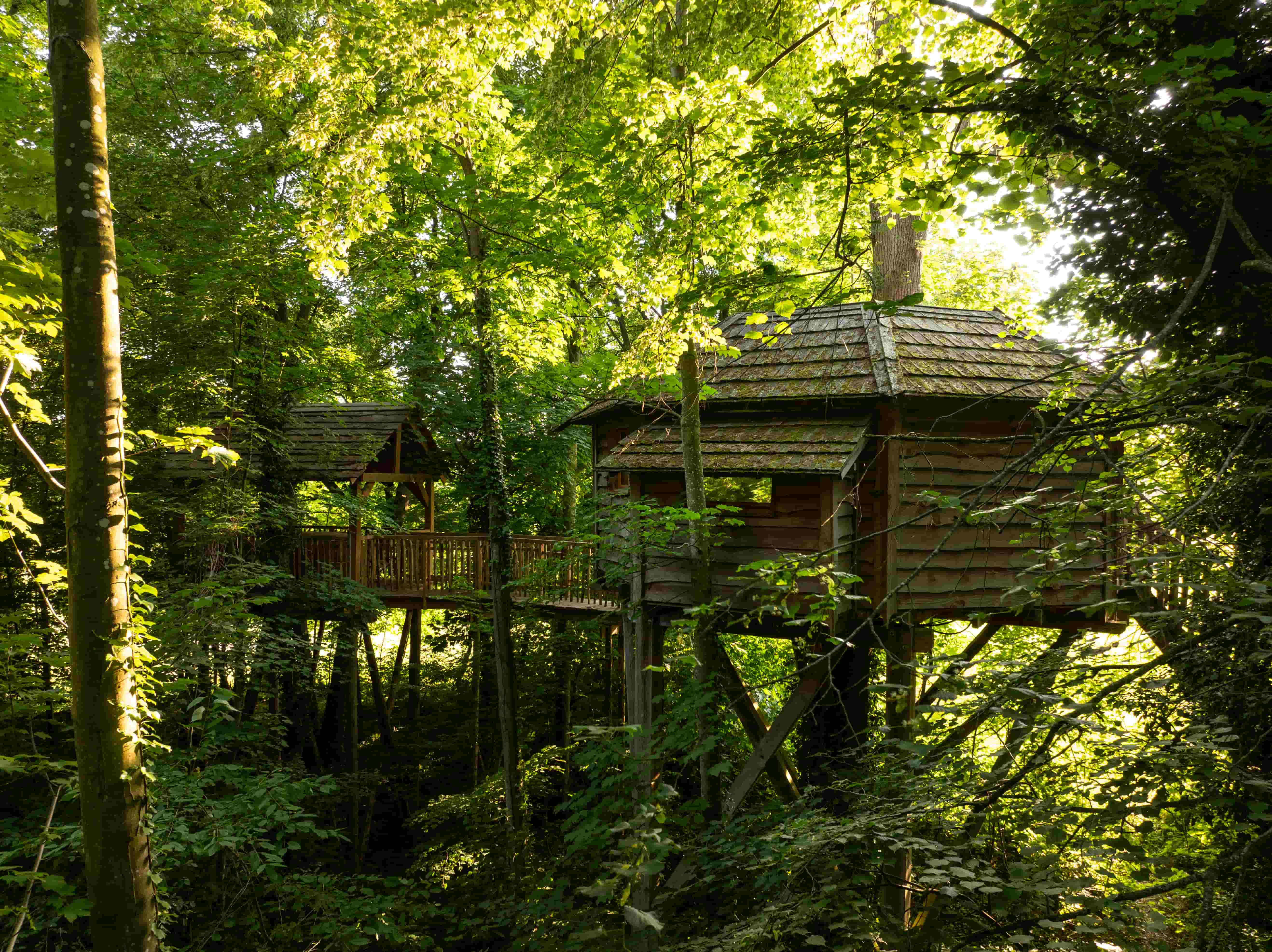 Cabane Spa Cachette : une évasion dans les arbres en Picardie