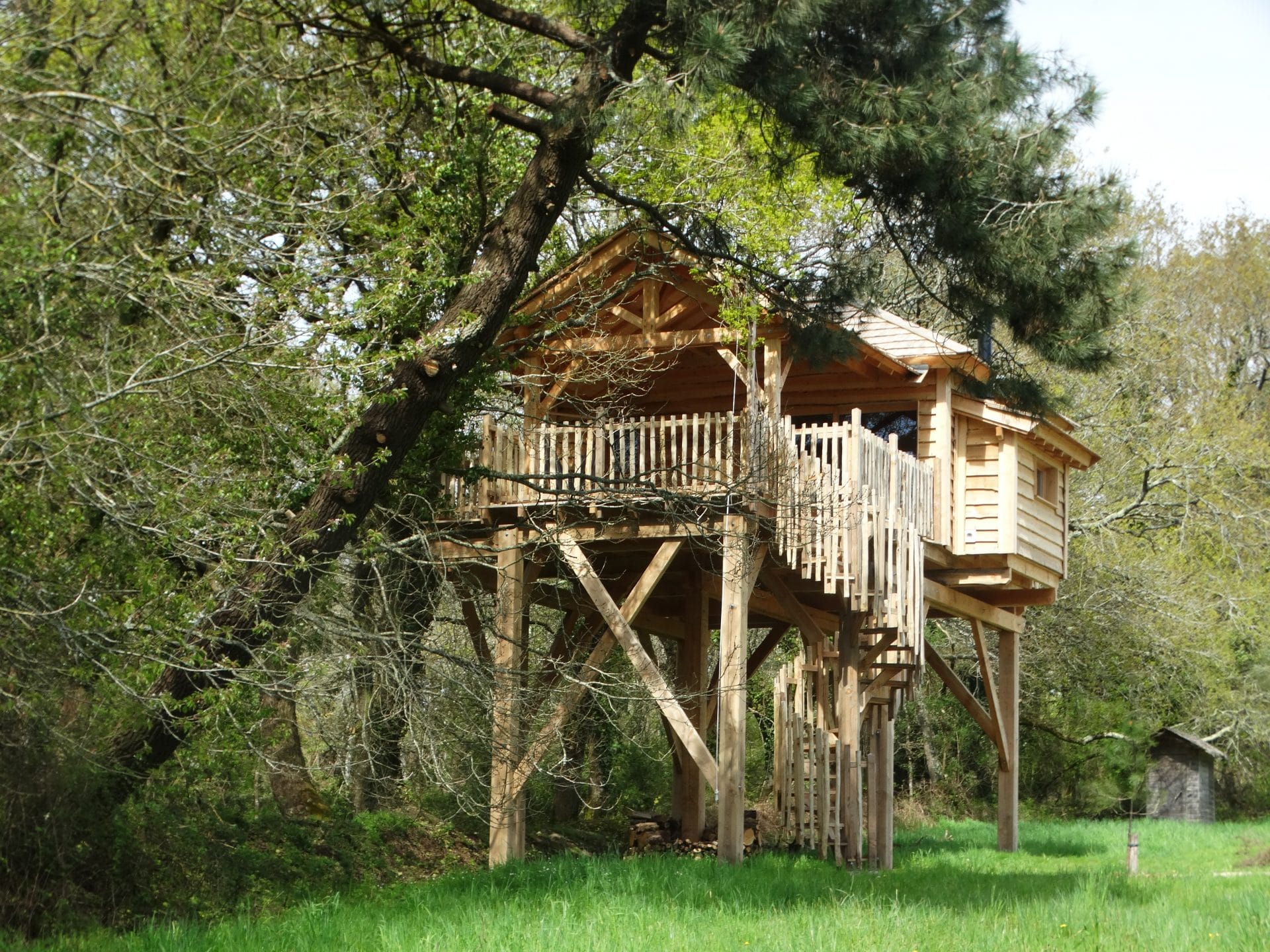 Cabane Spa luxe EnTy : une évasion dans les arbres en Bretagne — Cabane à Ploemel