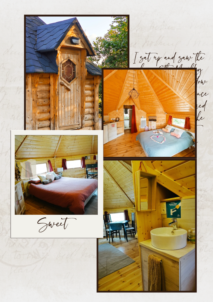 Hygge Scandinave : une cabane avec spa privatif à Aizenay à Aizenay — espace de vie