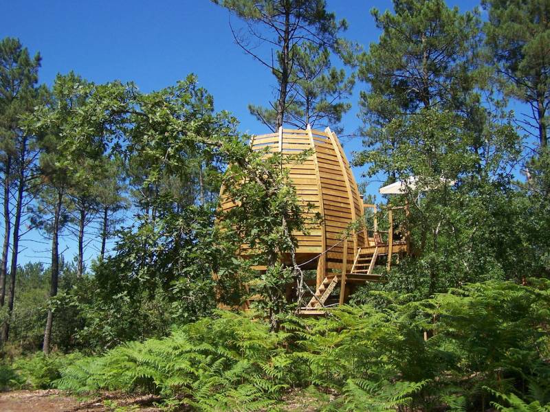 Cabane perchée en Aquitaine : une expérience insolite — Cabane à Captieux