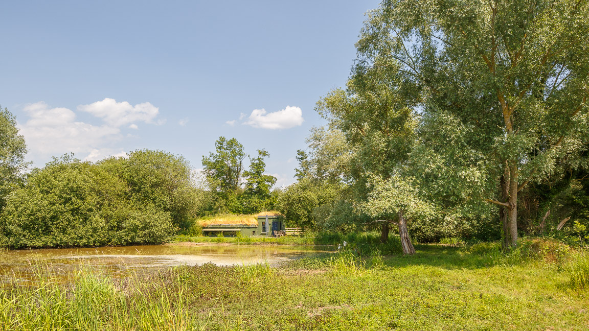 Maison des oiseaux : une cabane végétalisée au cœur de la Picardie à Beauchamps — vue intérieure