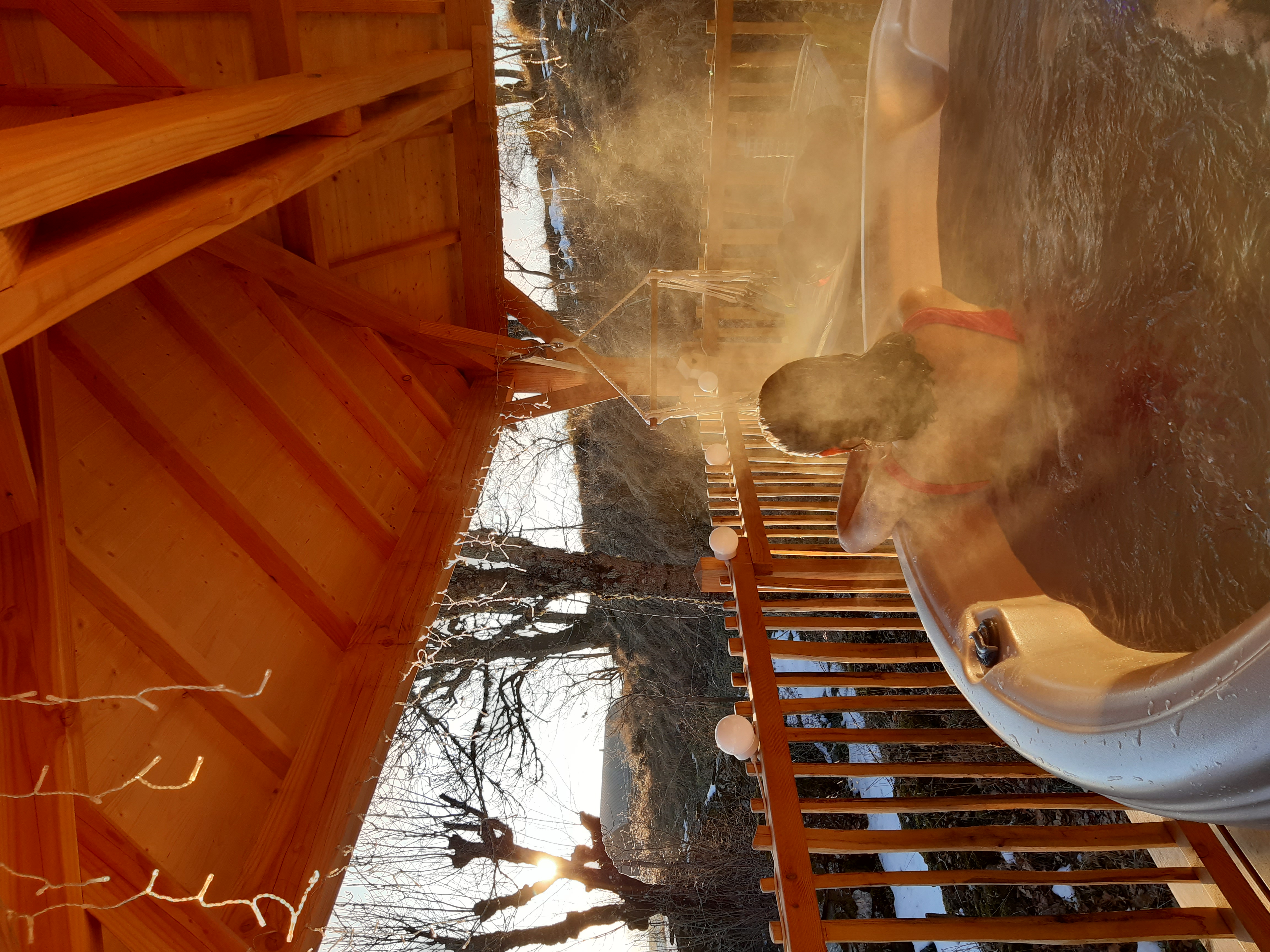 Cabane Spa Bérénice — Cabane sur pilotis avec jacuzzi à Lozère à Cubières — vue depuis la terrasse