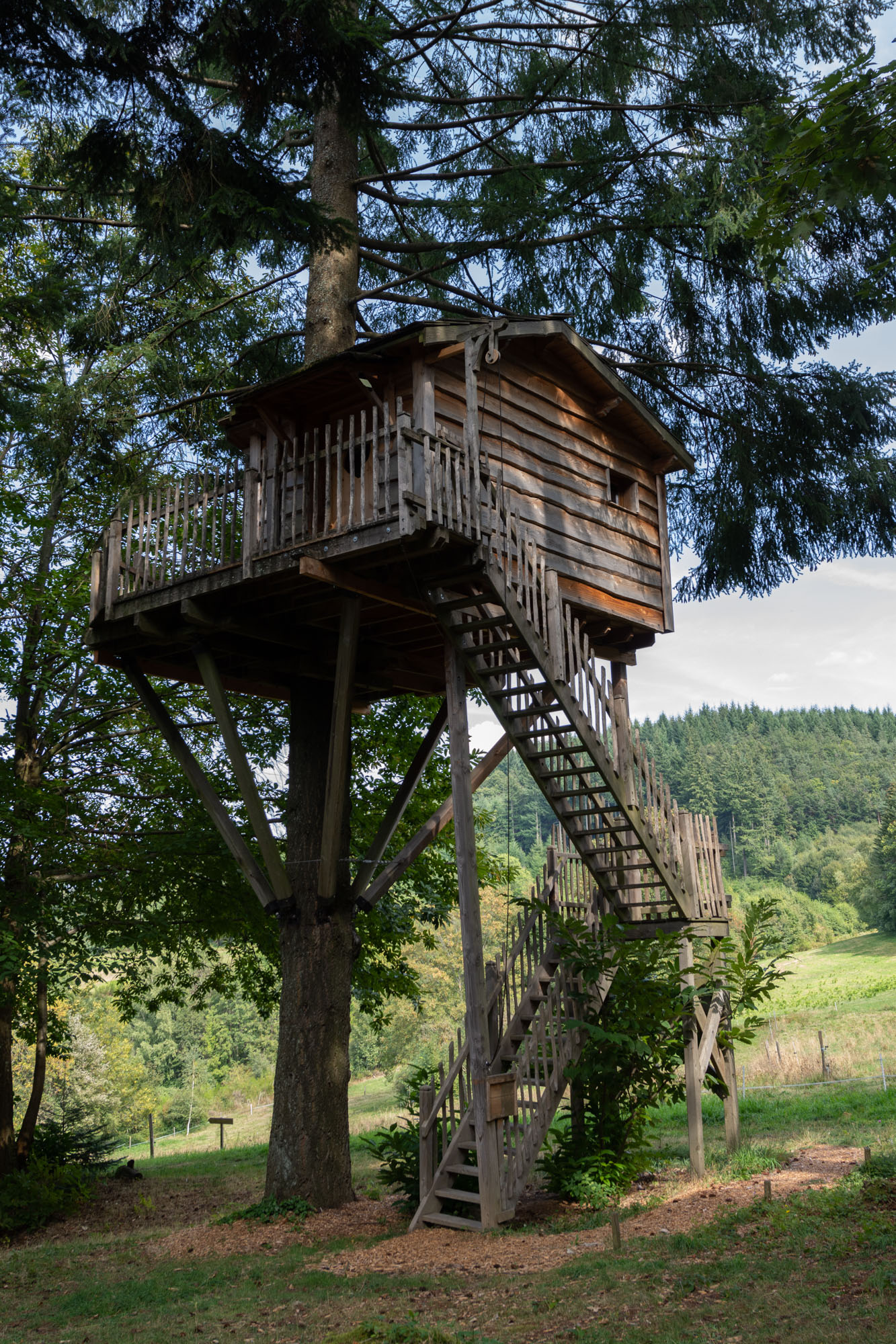 Cabane Marmotte : une expérience suspendue dans les arbres à Saint-Julien-Labrousse — vue depuis la terrasse