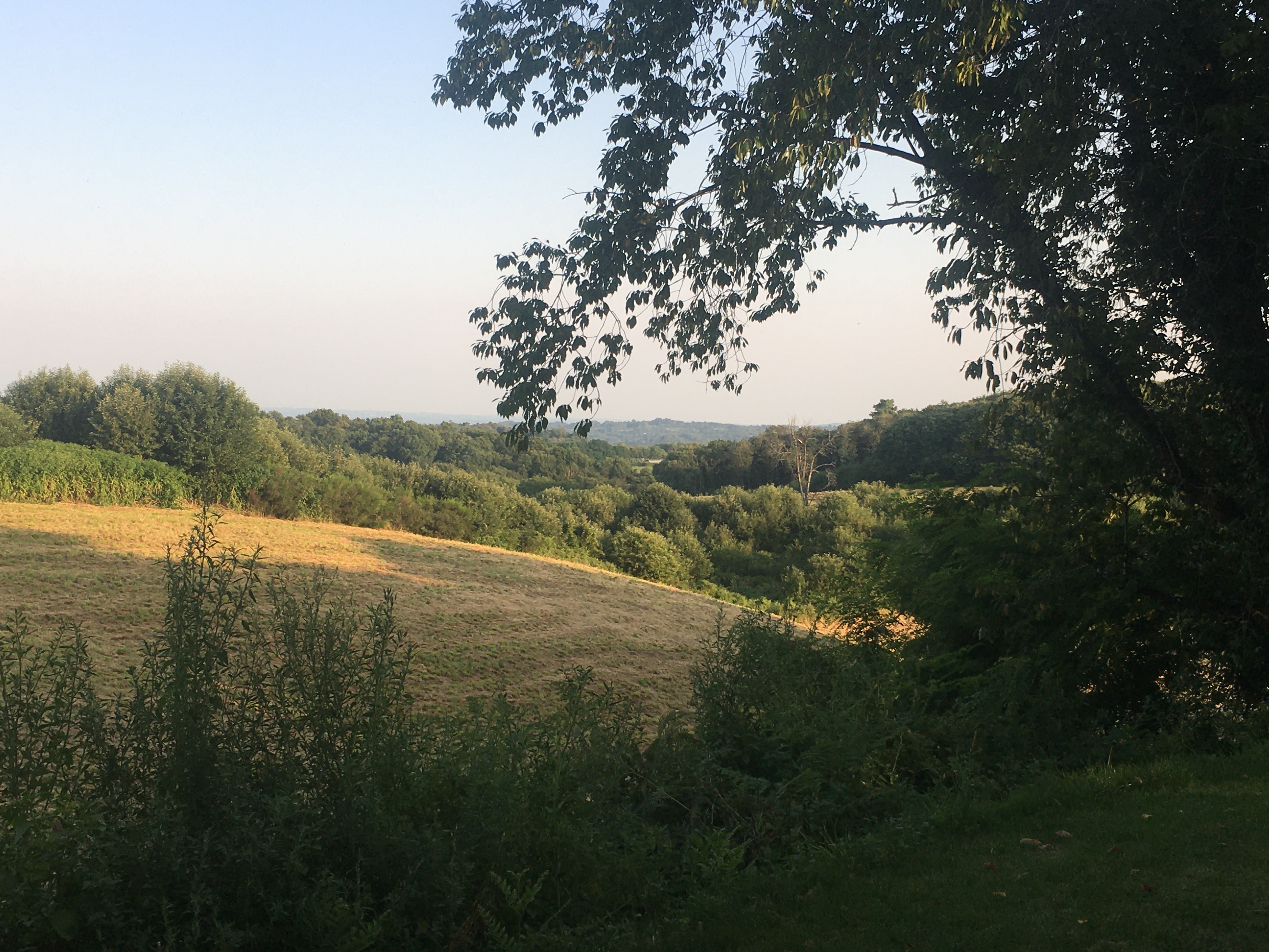 La Roul'Hôte : une roulotte au cœur de l'Aquitaine à Saint Crepin Et Carlucet — environnement naturel
