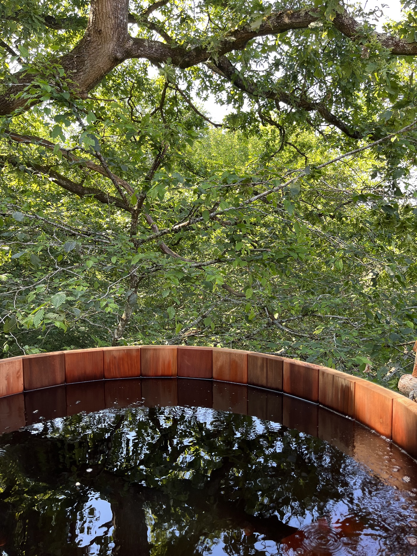 Cabane Spa Belle Forêt : une escapade insolite en Picardie à St-Léger-Aux-Bois — détail architectural