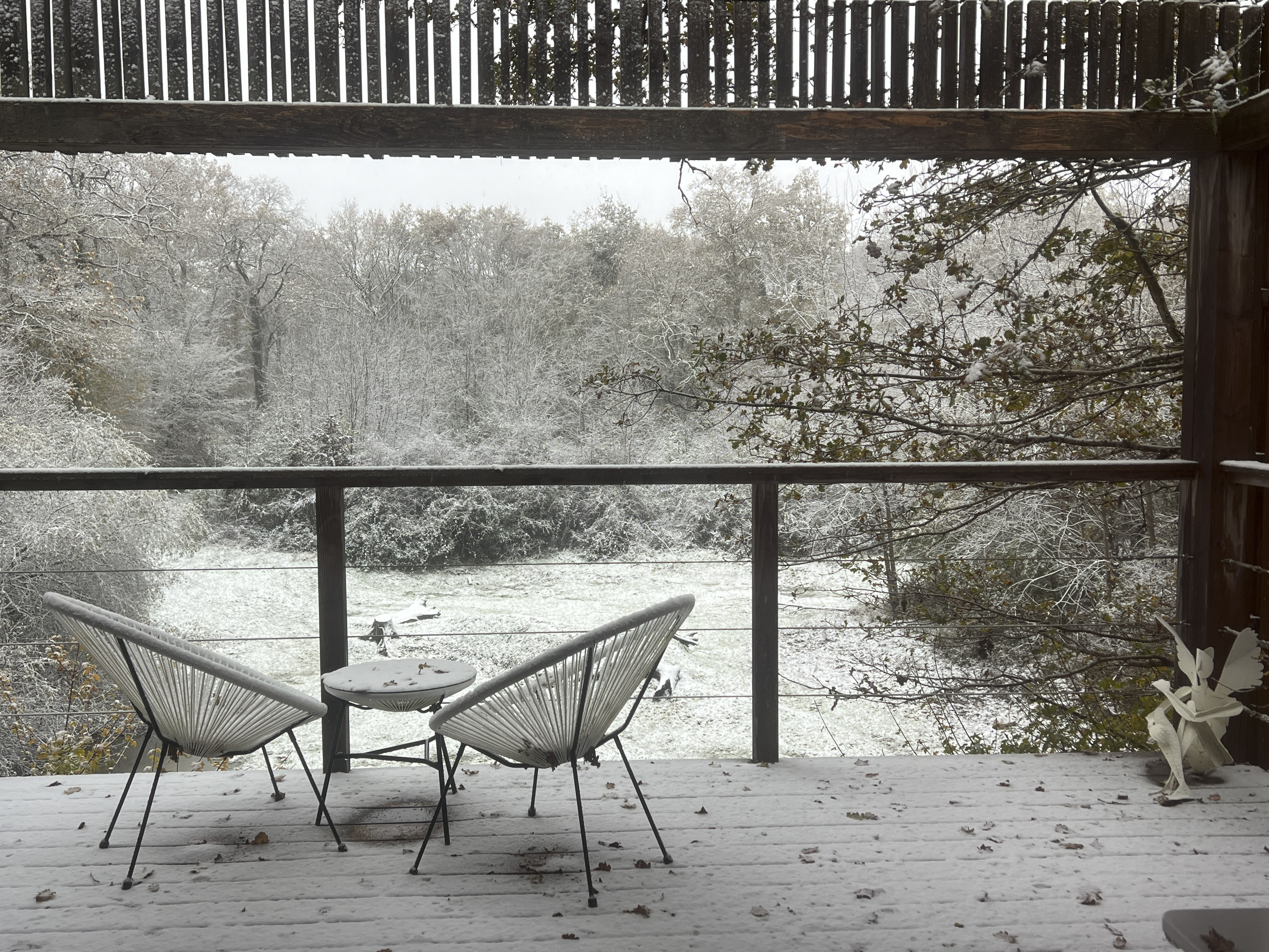 Suite « Les Ailes du Désir » — Cabane sur pilotis avec spa à Indre-et-Loire à Tours — environnement naturel