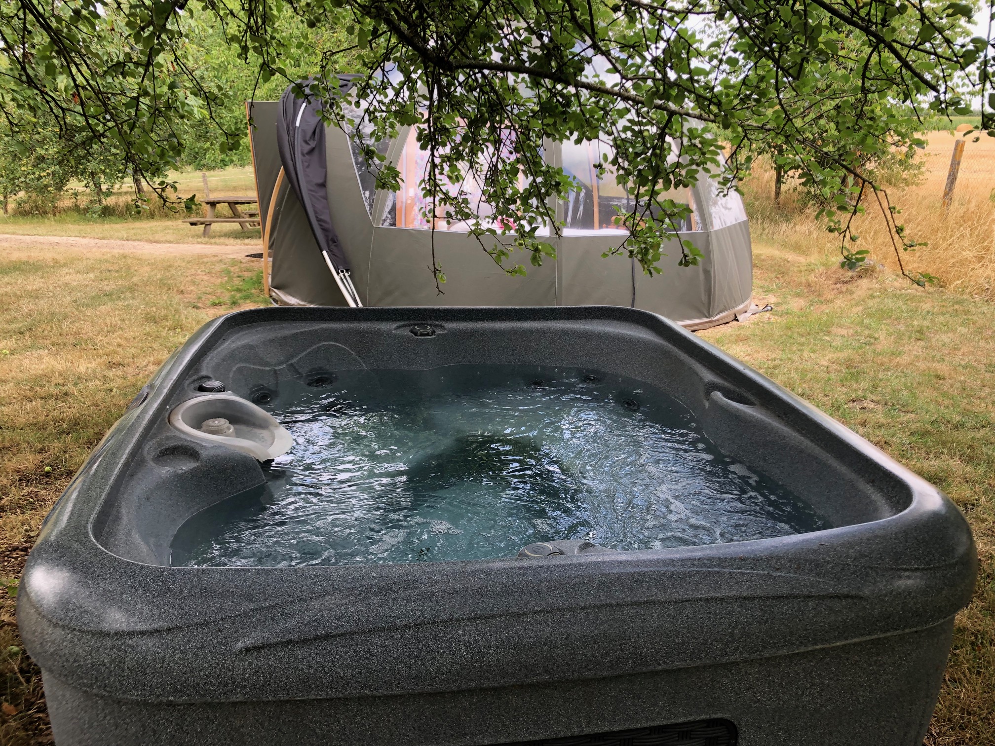 Le Dôme SPA étoilé : une expérience insolite en pleine nature à Descartes — vue intérieure