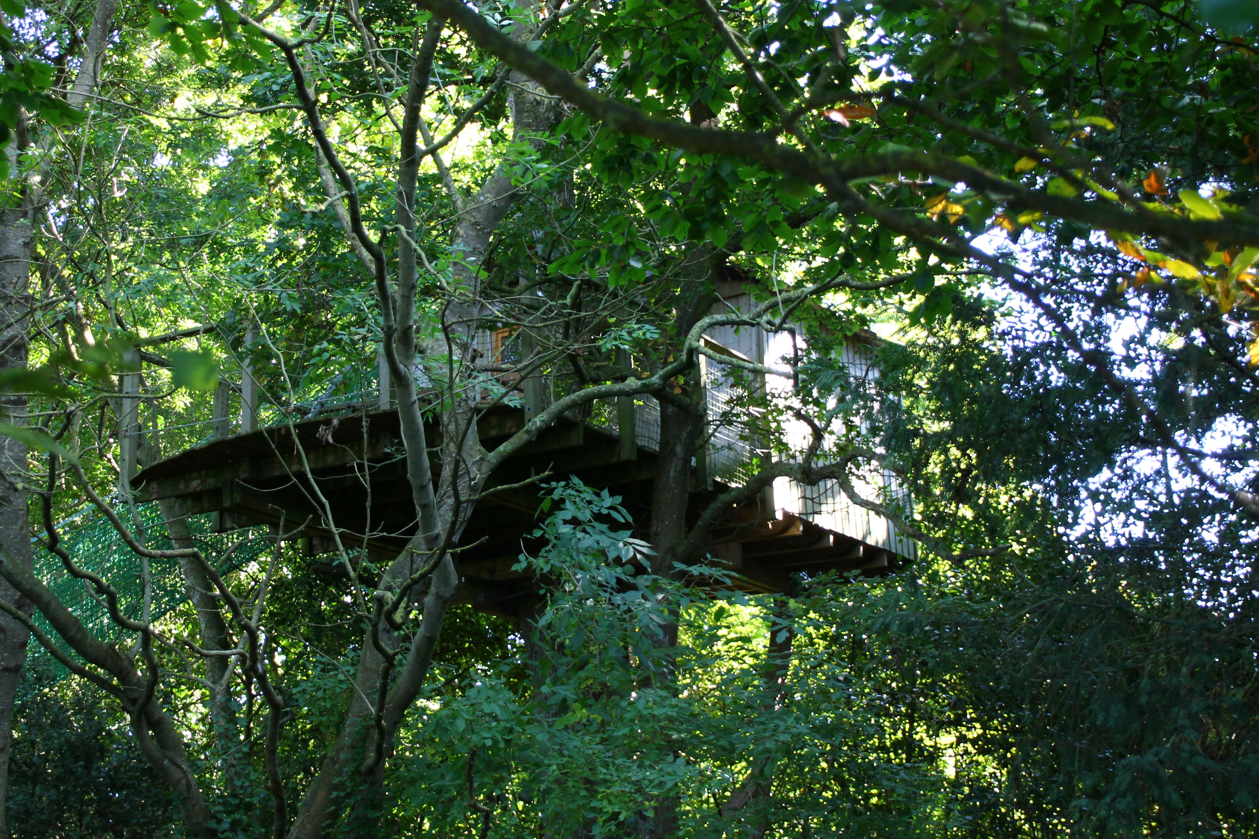 Cabane Tour : une expérience suspendue dans les arbres à Hénanbihen — vue intérieure