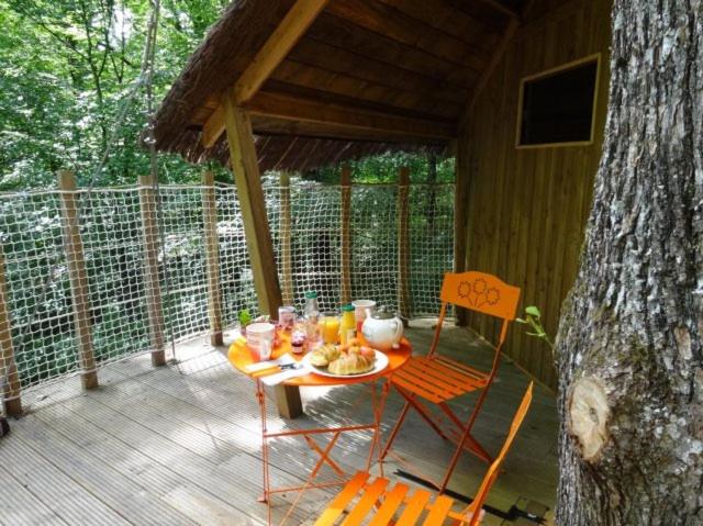 Cabane écureuil : une expérience suspendue dans les arbres à Giffaumont — espace de vie