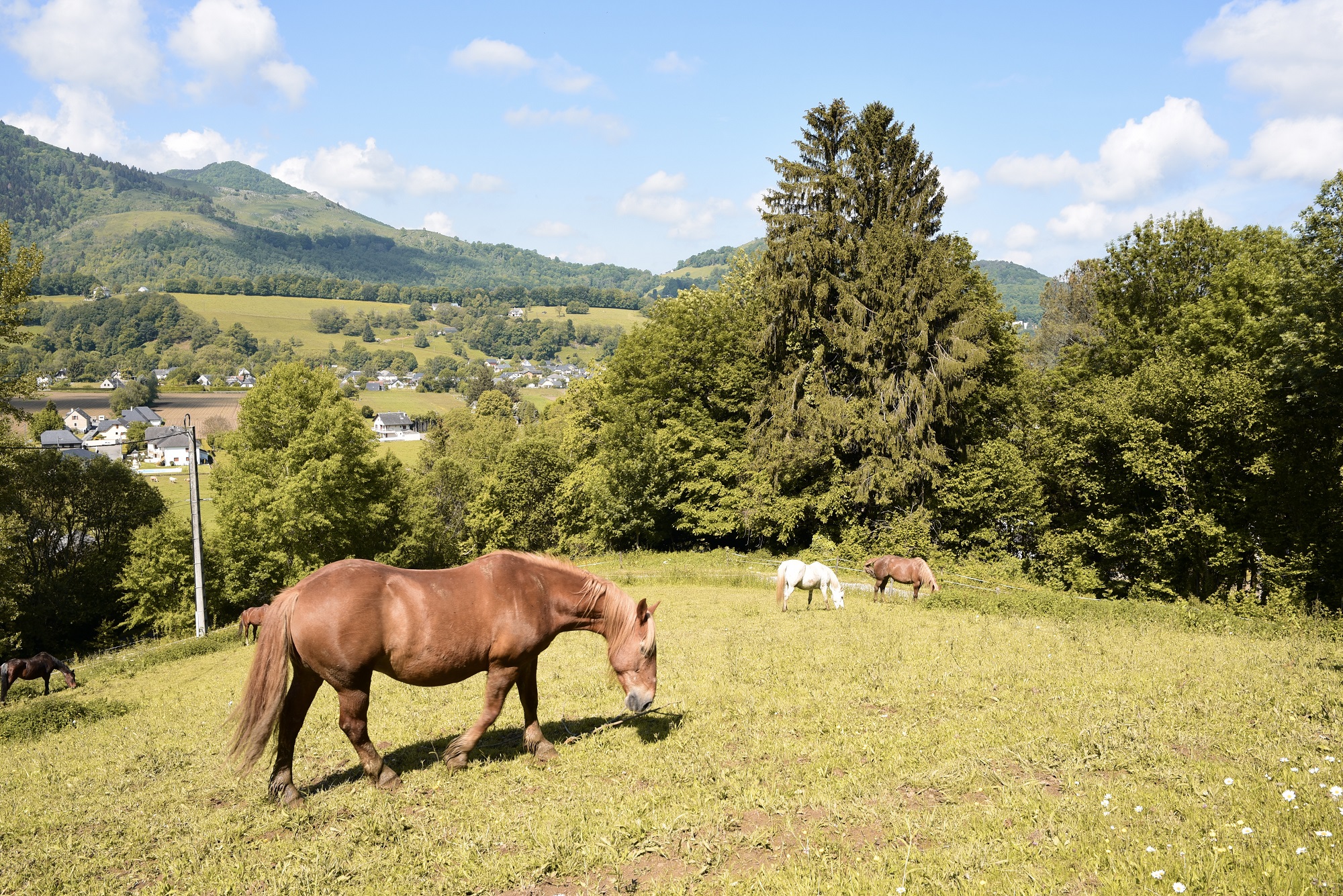 Un pigeonnier enchanteur avec spa au cœur des Pyrénées à Gerde — vue depuis la terrasse