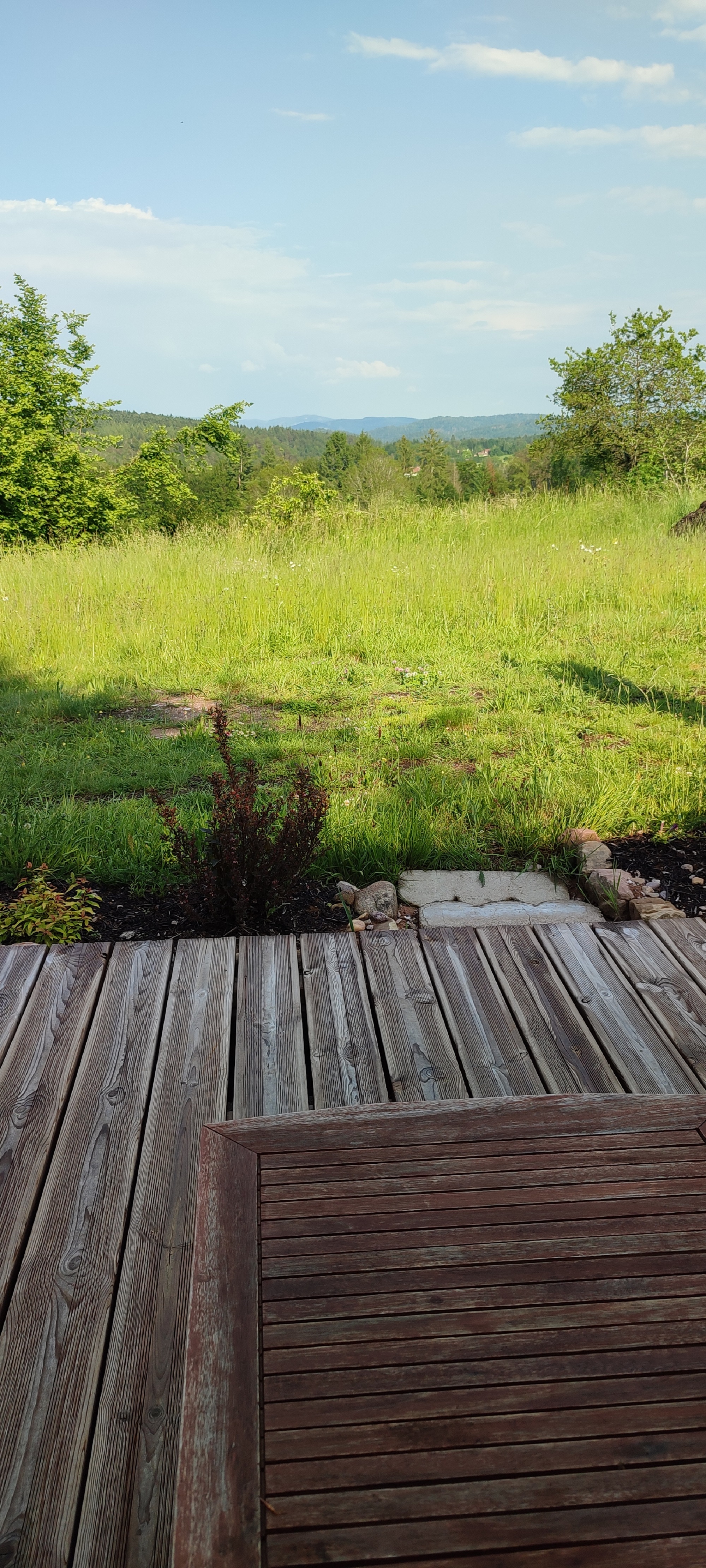Roulotte Au Point de Vue — Séjour romantique avec spa dans les Vosges à La Petite Louvière — vue depuis la terrasse
