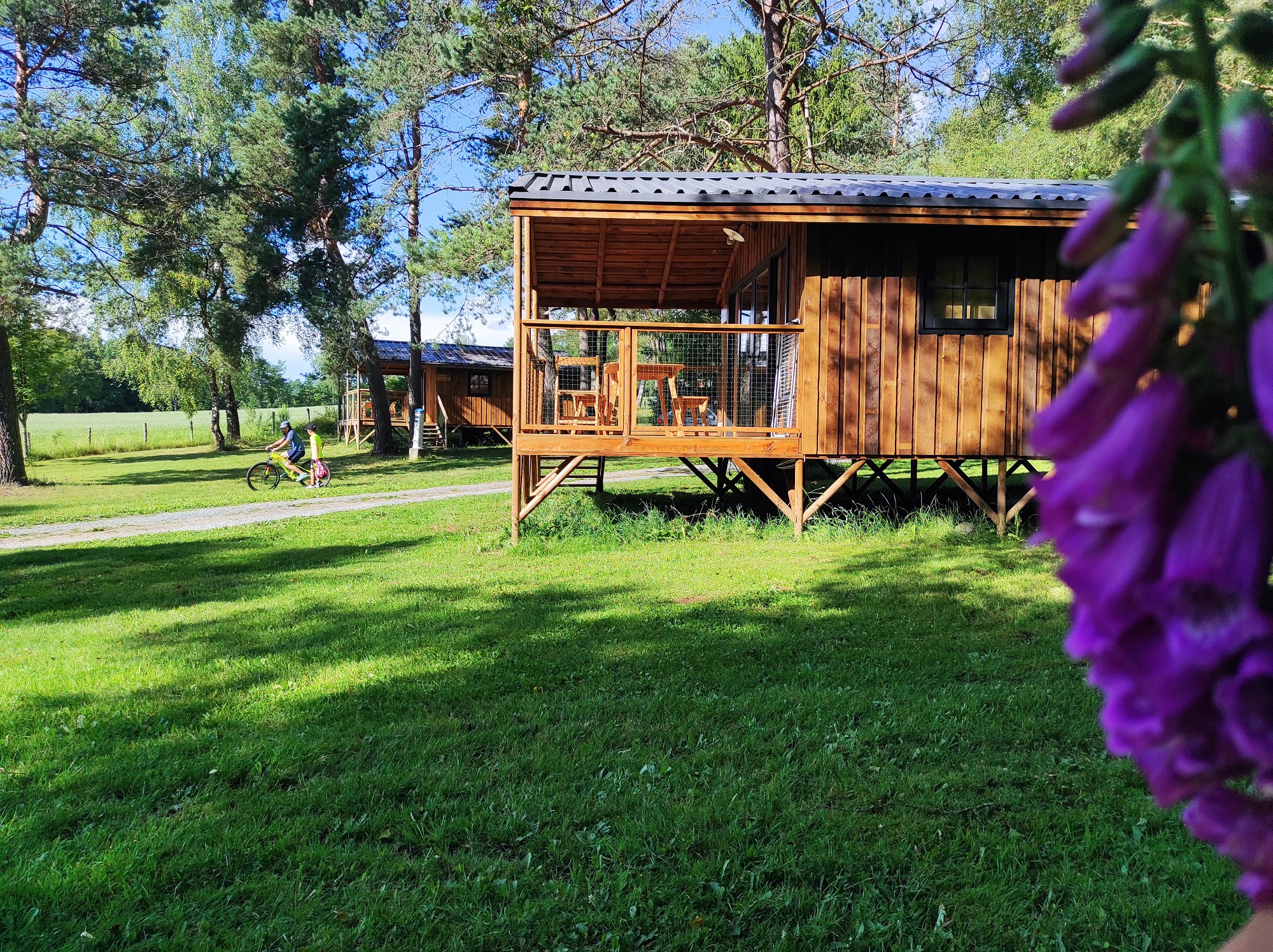 Chalet La Combe Verte : une escapade romantique en Limousin
