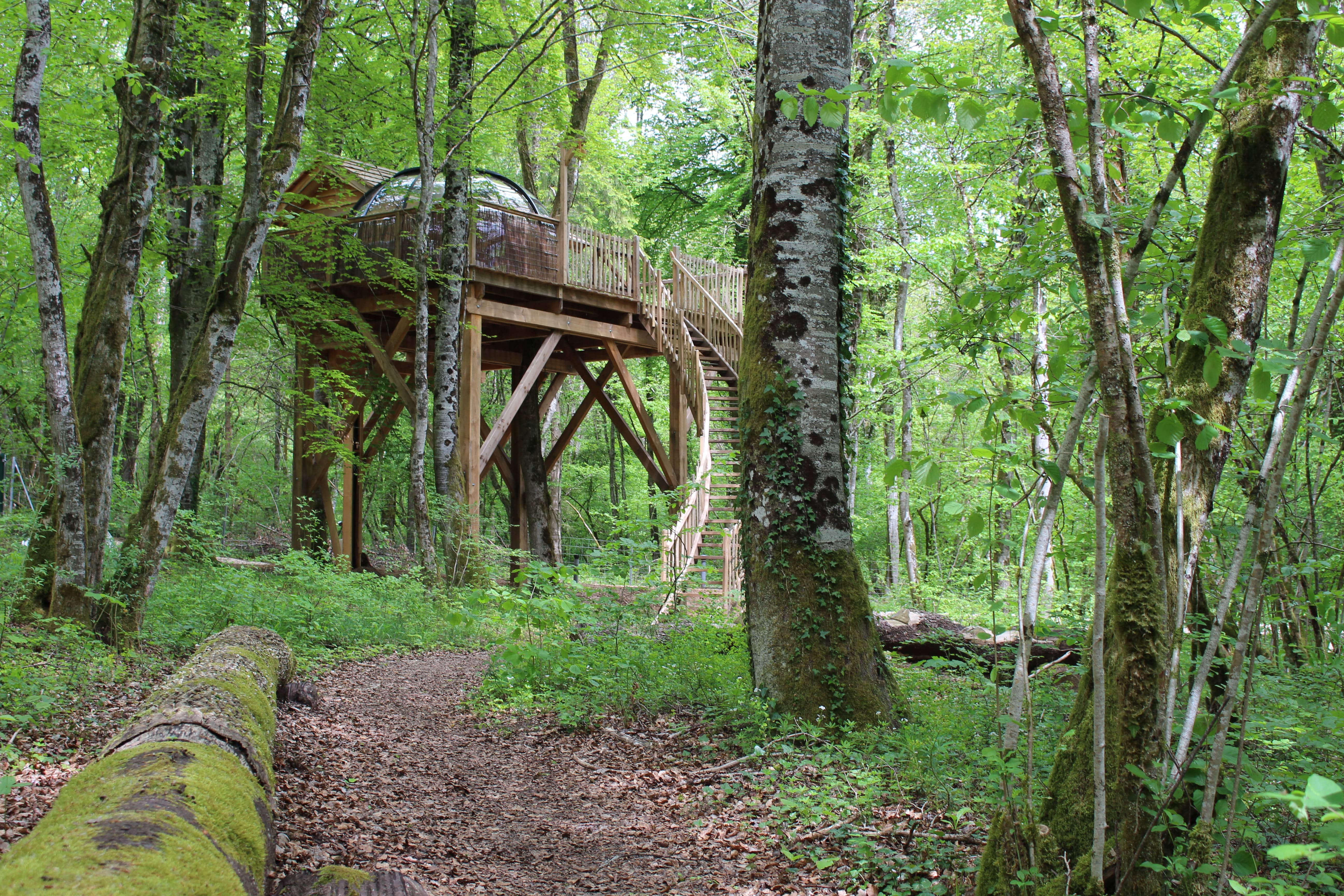 Dôme perché Spa - Chouette — Dôme avec bain nordique à Côte-d'Or à La Combe Rossignol — environnement naturel