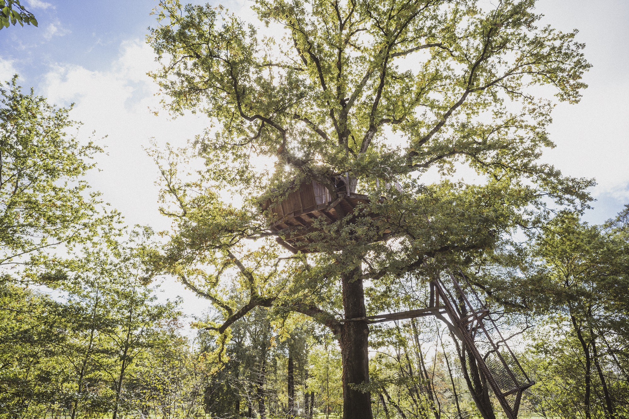 Cabane Évasion : une immersion dans les arbres en Franche-Comté à Chassey-Lès-Montbozon — espace de vie