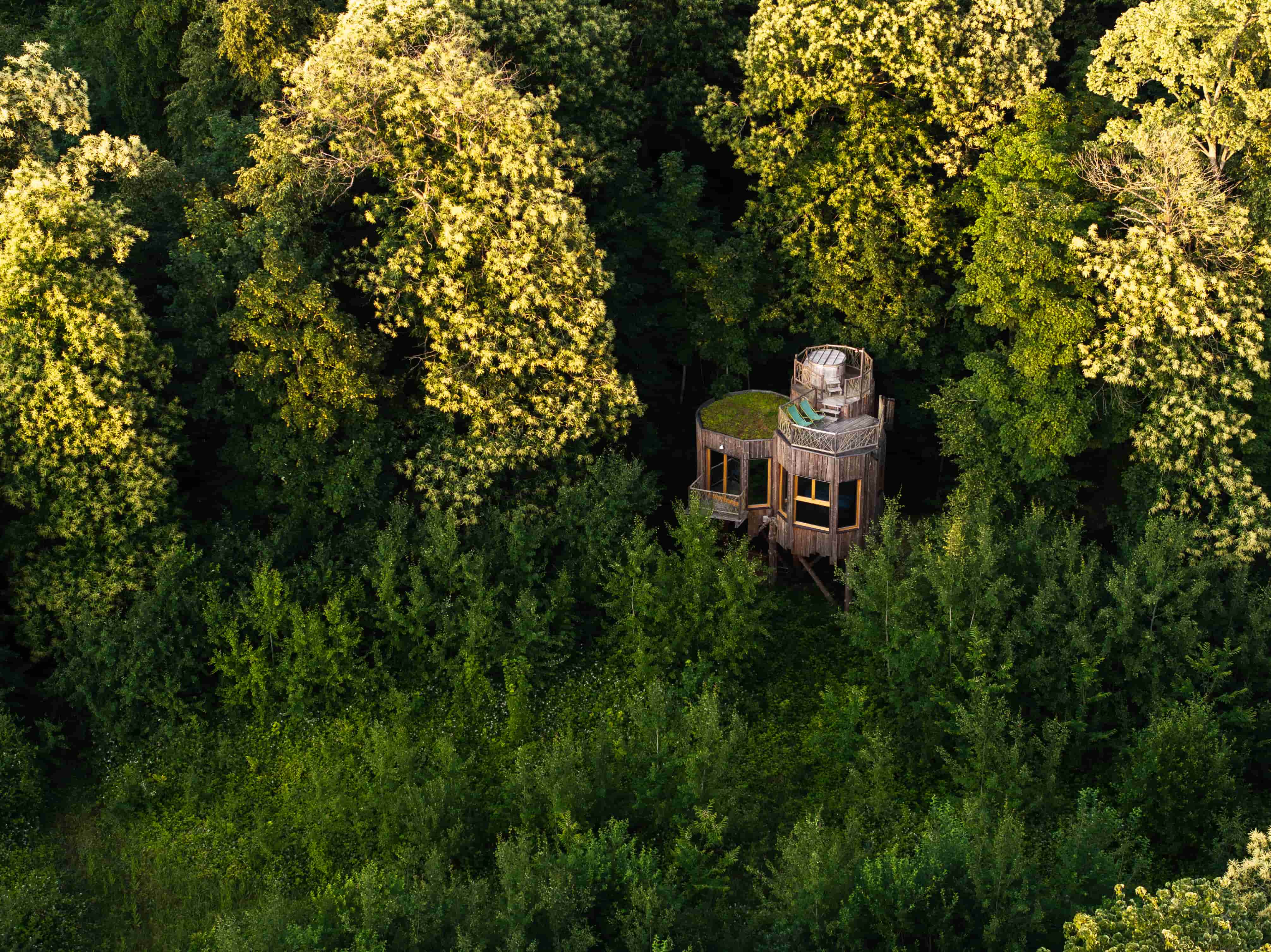 Cabane Spa Plus Eclipse : une évasion dans les arbres — Cabane à Raray