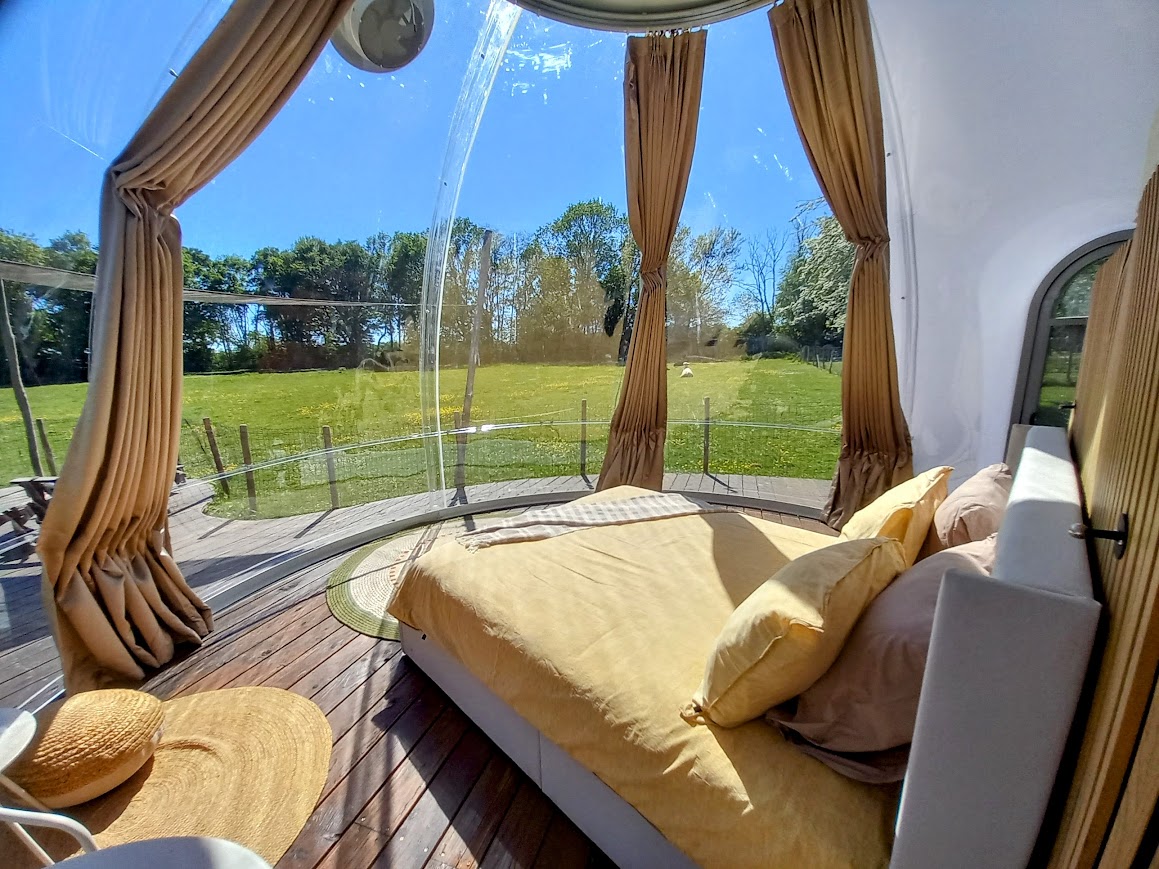 La Bulle des Alpagas : une expérience immersive au cœur de la nature