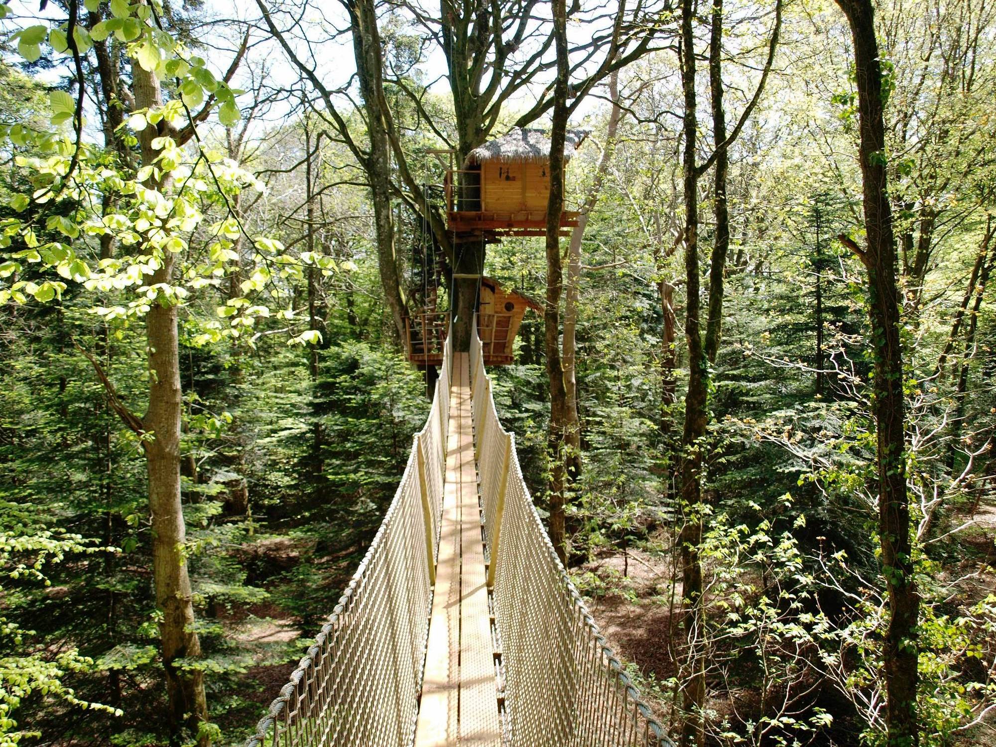 Cabane Nid Clos : une expérience suspendue dans les arbres à Cléder — vue intérieure