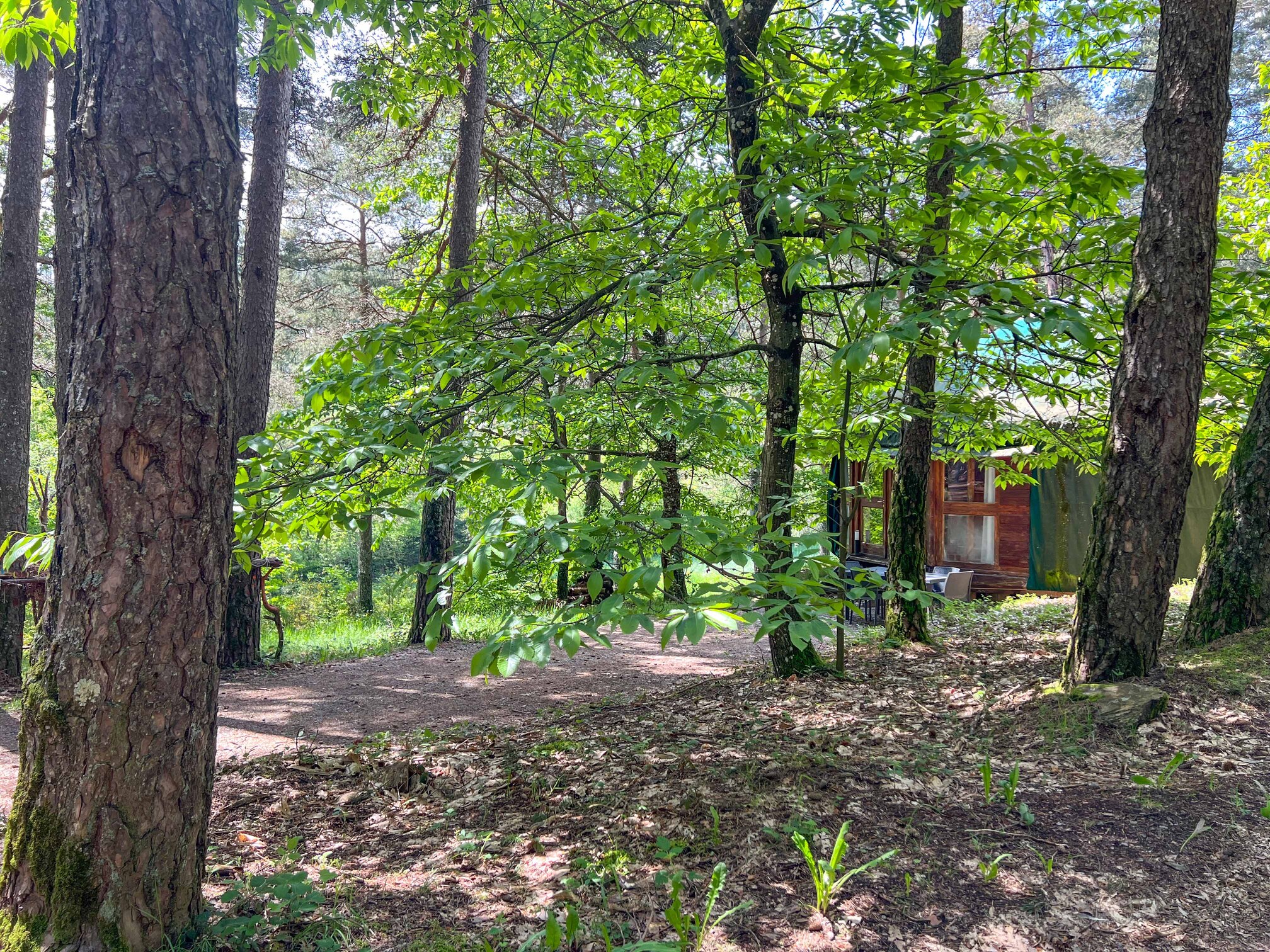 La Yourte Contemporaine : une expérience immersive en Auvergne à Vitrac — chambre
