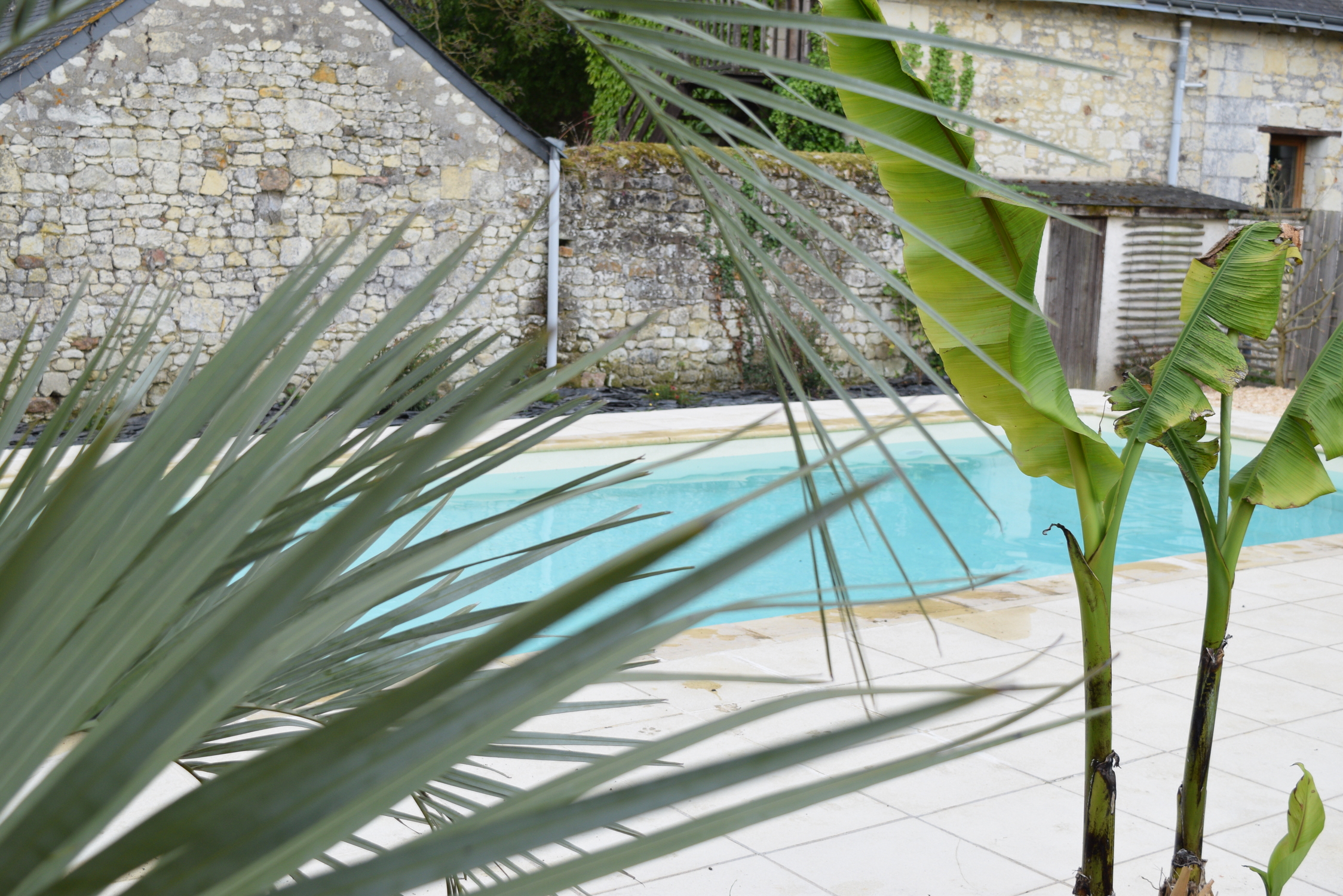 Bulle de Nature & Spa