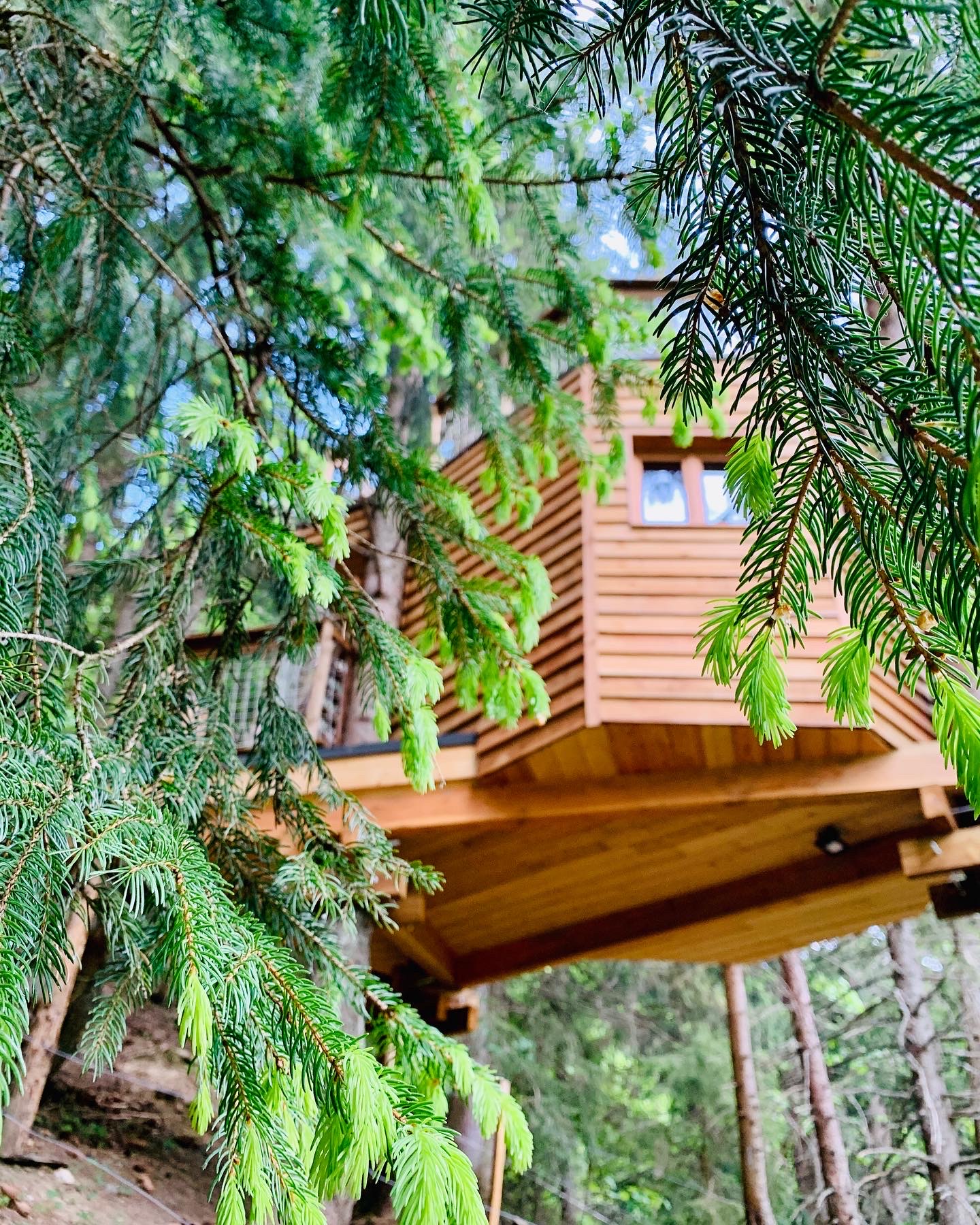 La Cabane dans les arbres de Valmo'Insolite — Nuit perchée à 4m en Savoie à Les Avanchers-Valmorel — espace de vie