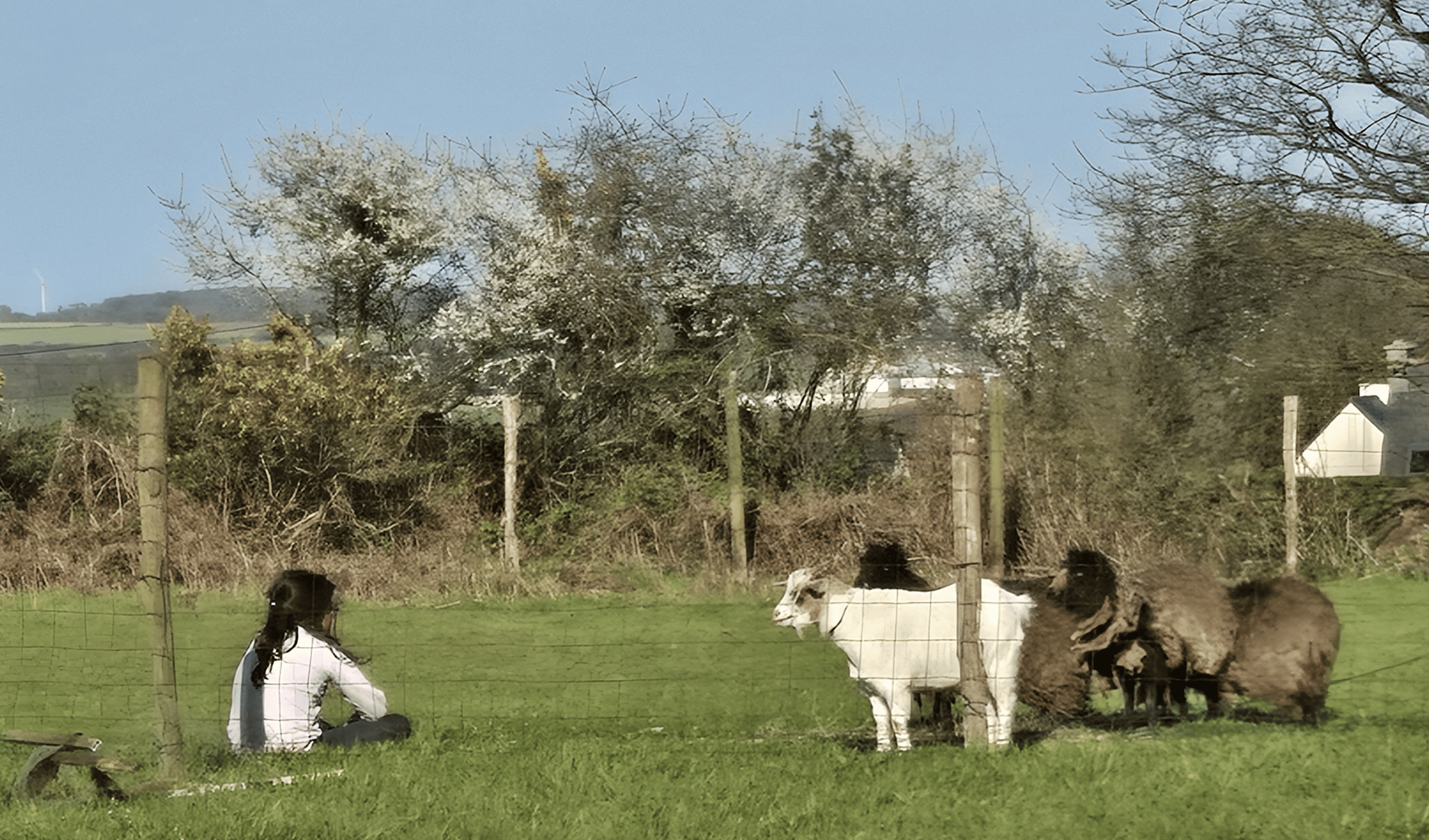 Yourte de Tréou — Nuit insolite avec spa en Finistère à Le Tréhou — vue intérieure