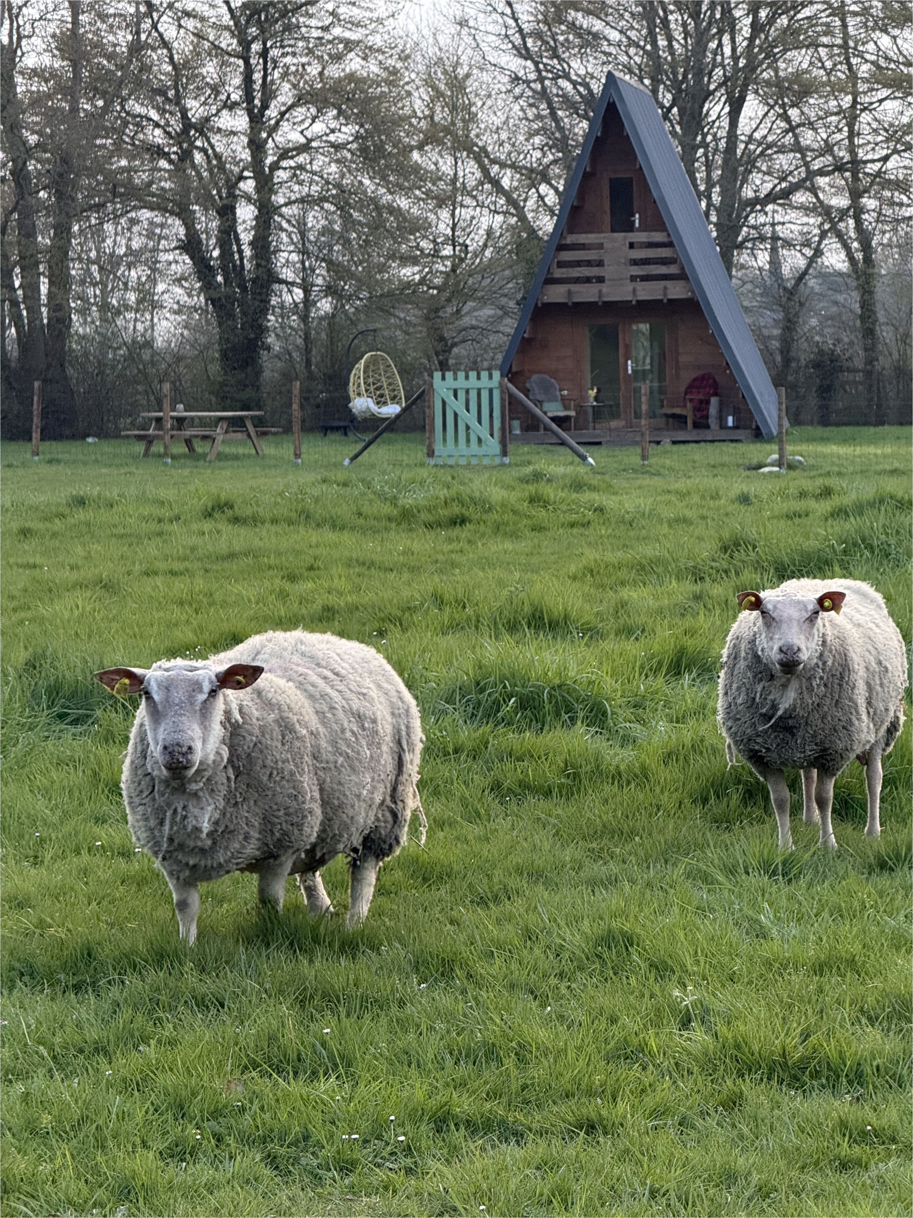 Cabane insolite La Pause Sauvage — Évasion nature à Évreux à Évreux — espace de vie