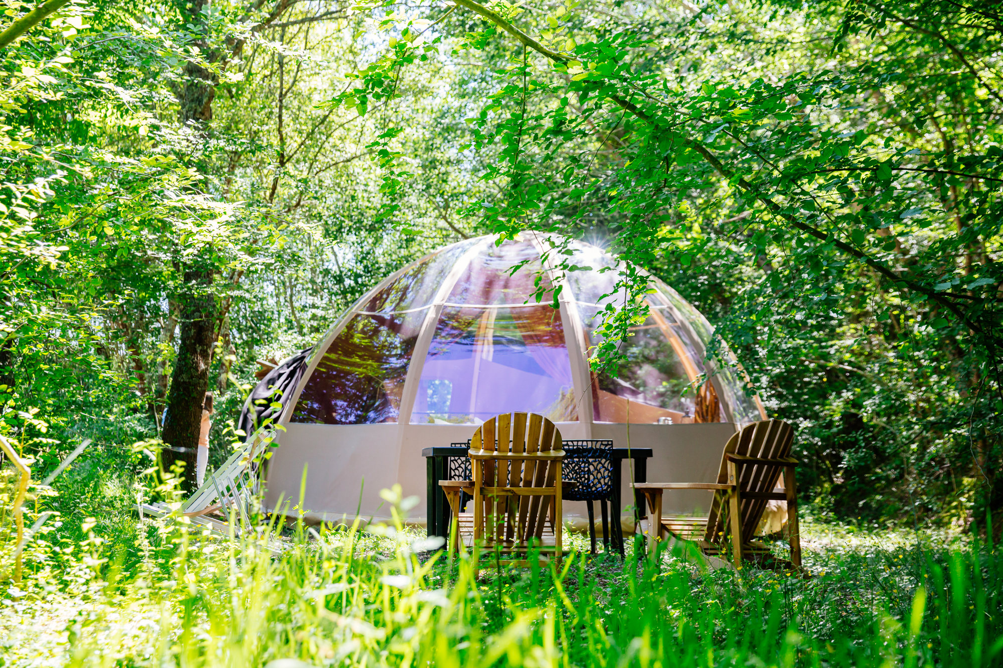 Bulle Ecôtelia : un dôme enchanteur en pleine nature à Le Nizan — vue intérieure