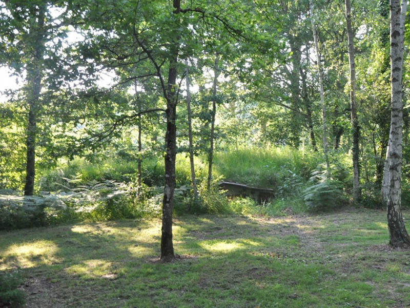 Cachette des fées & Spa : une maison troglodyte en Picardie à Fere En Tardenois — vue depuis la terrasse