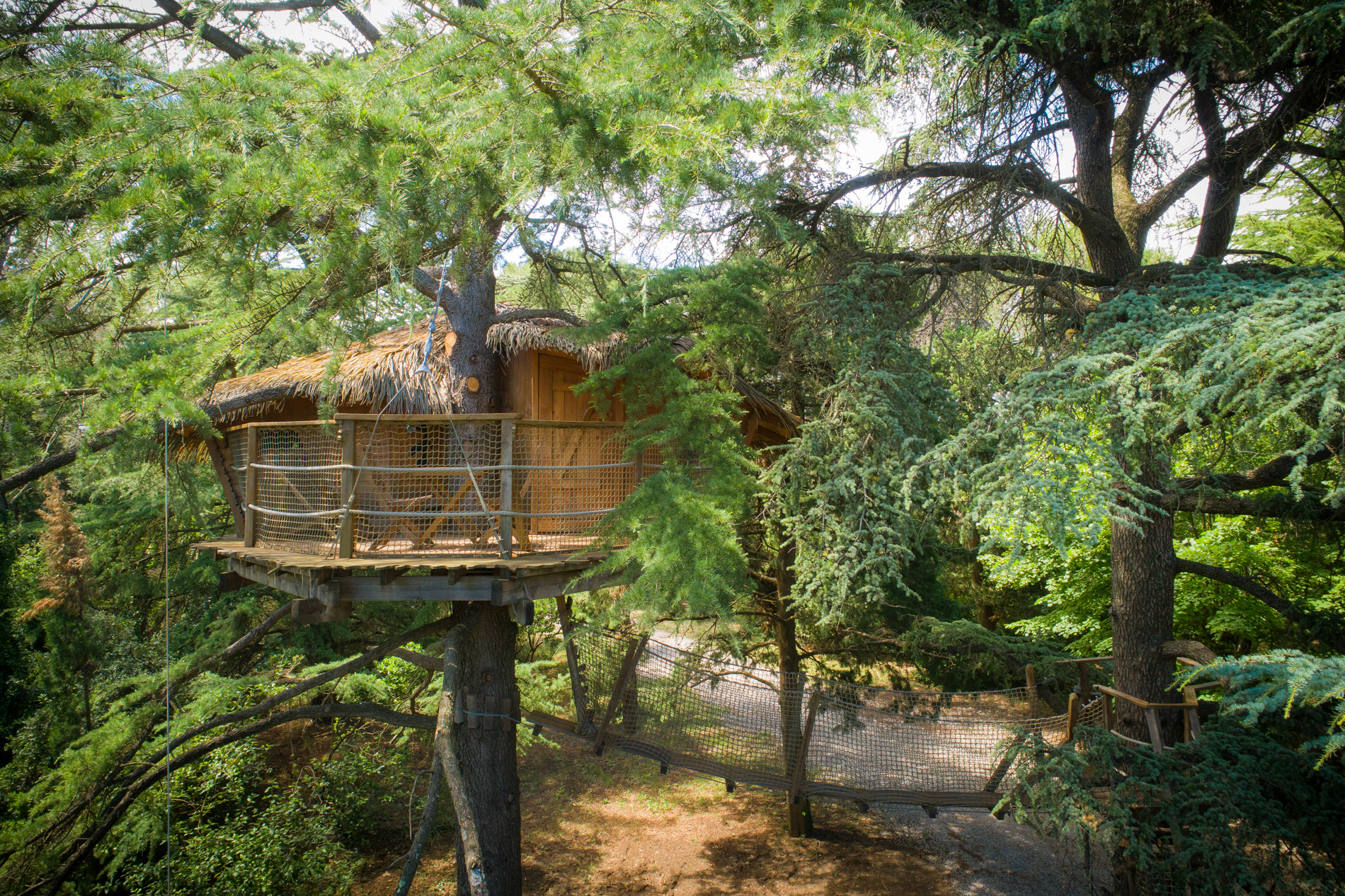 Crécerelle : une cabane dans les arbres au cœur de l'Occitanie