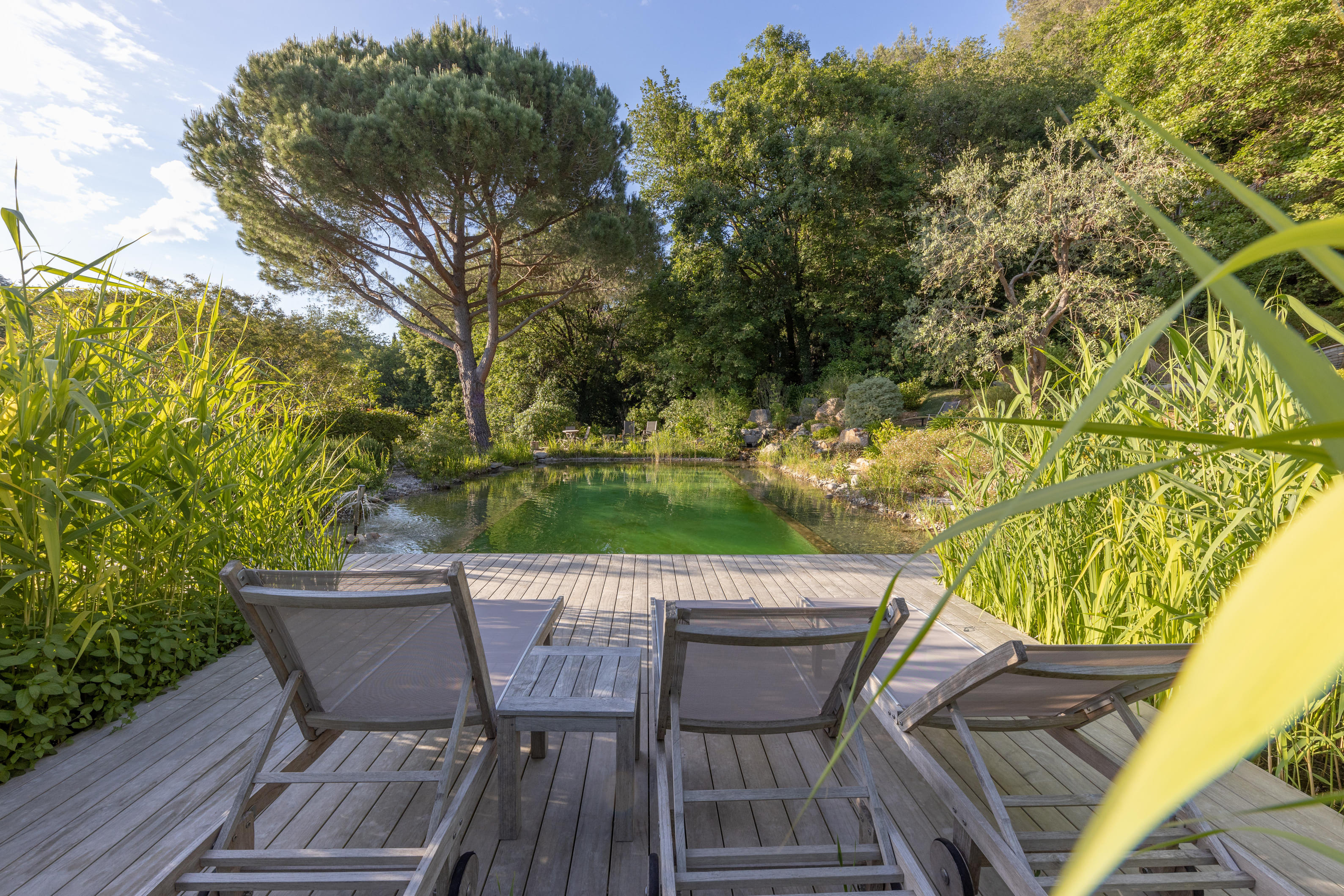 Shere Khan — Cabane dans les arbres avec spa à Nice à Nice — vue intérieure