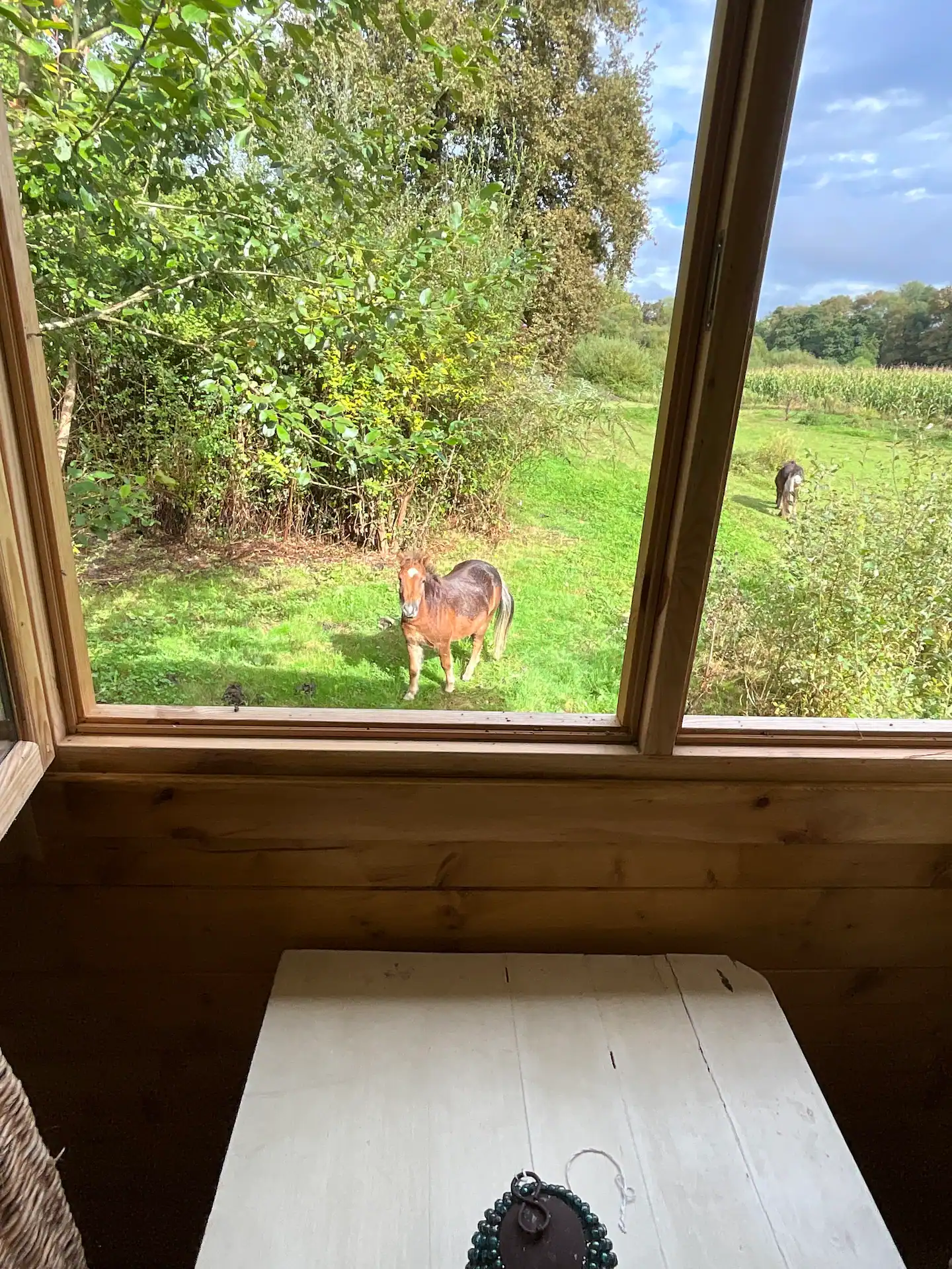 Coco bohème — Cabane sur pilotis avec jacuzzi à Hautes-Pyrénées à Lourdes — vue depuis la terrasse