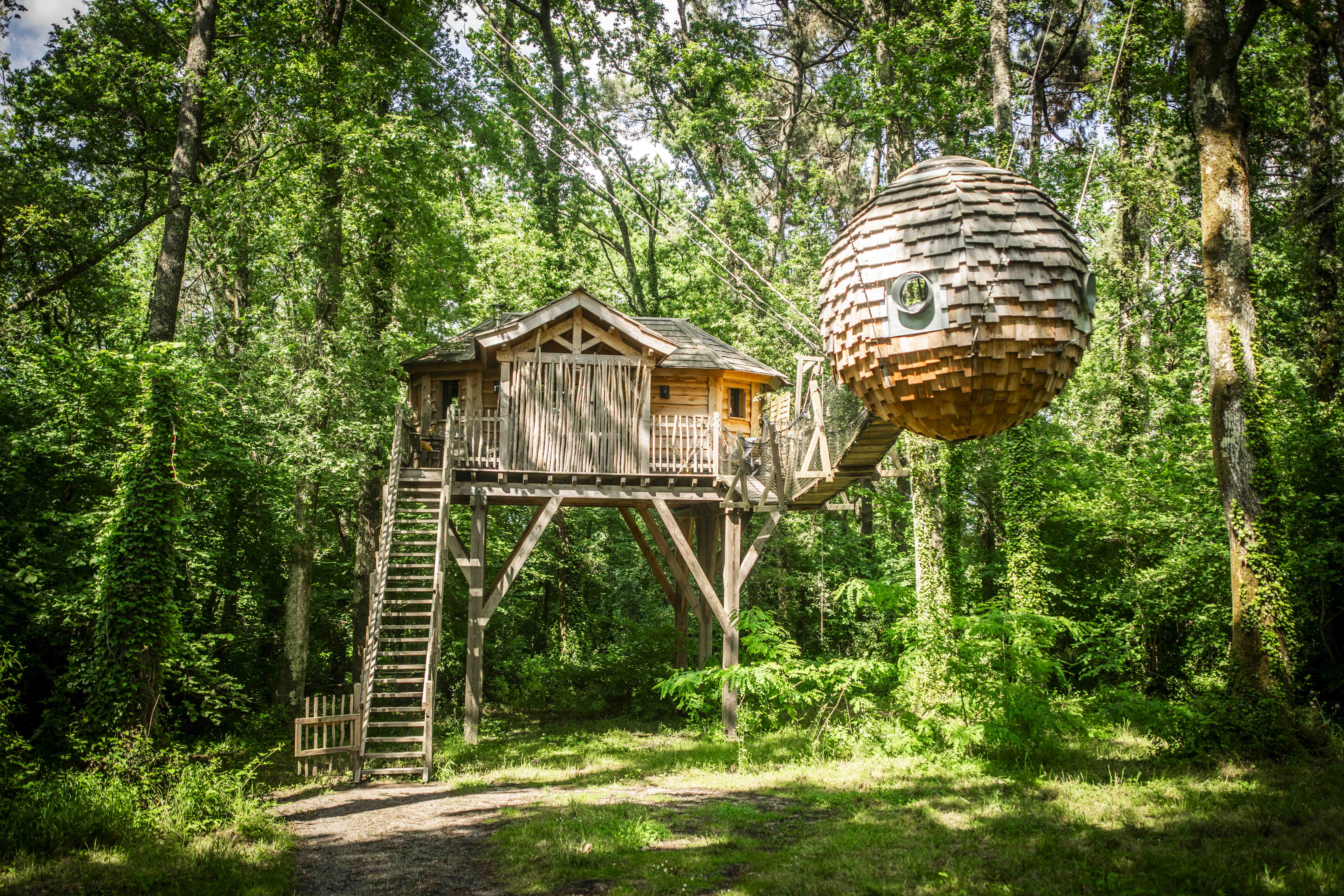 La Cabane Nid'Amour & Spa : une évasion dans les arbres