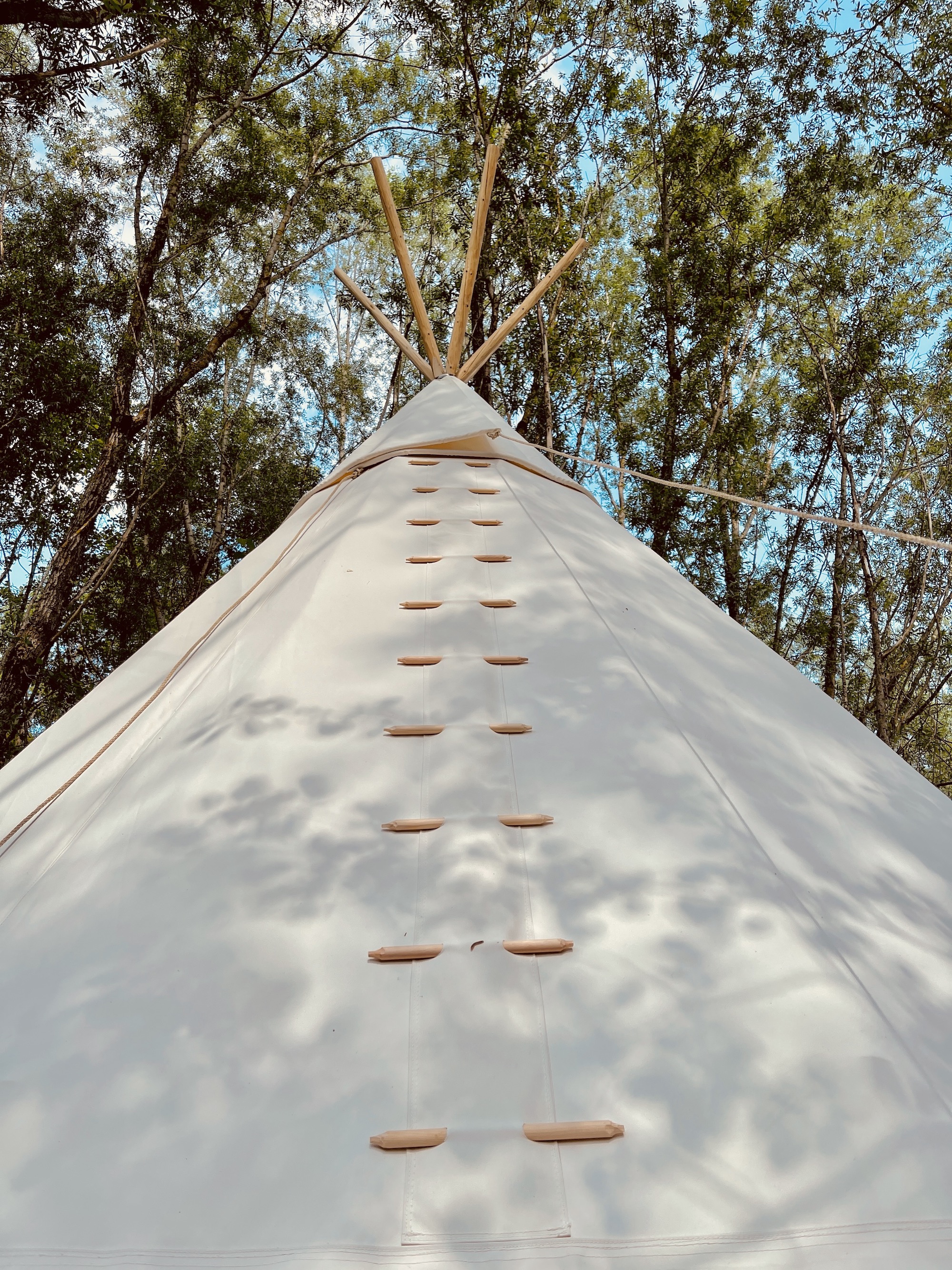 Tipi Söra — Séjour authentique avec spa à Côte-d'Or à Dijon — chambre