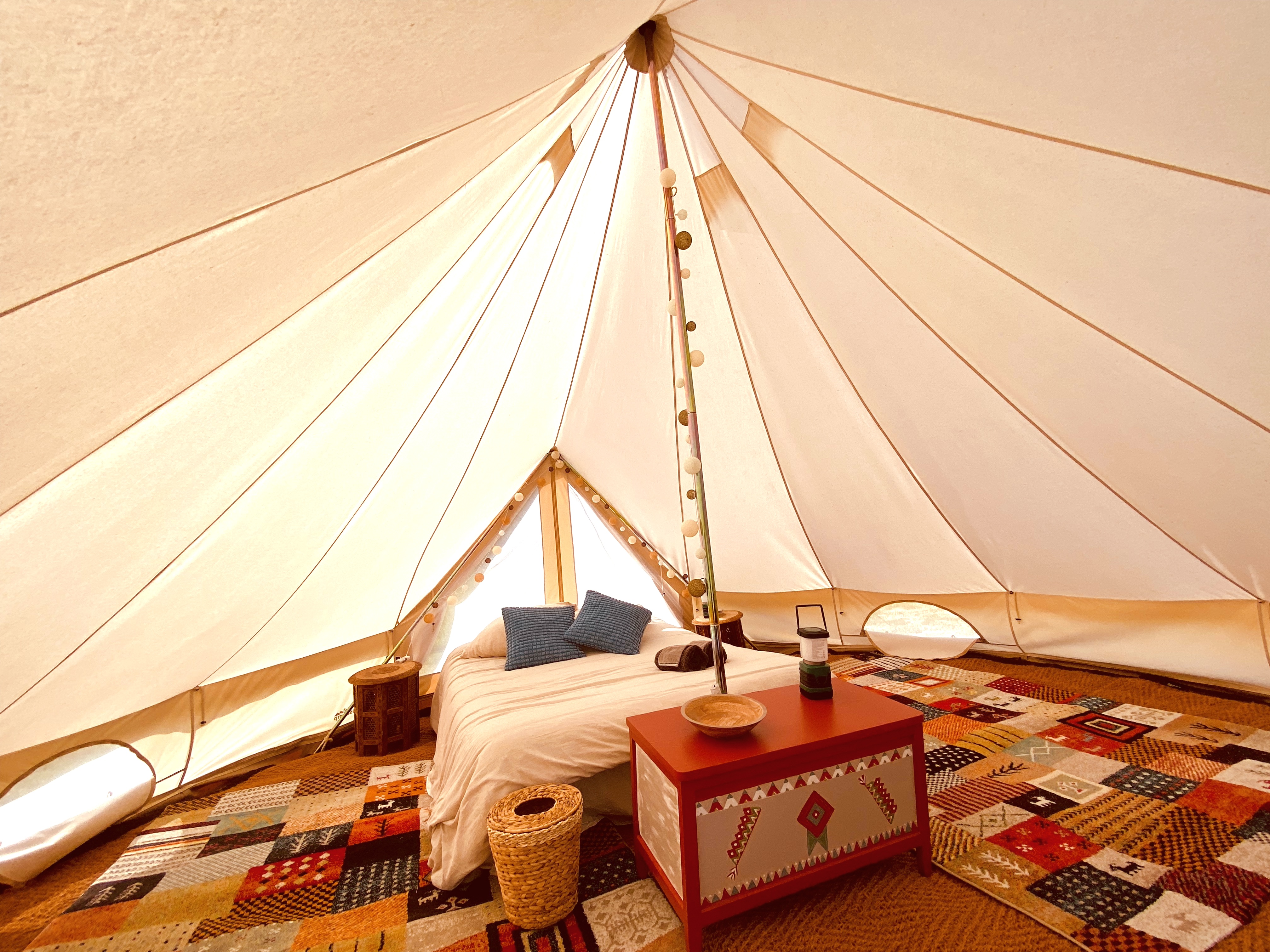 Sunny Lodge : une expérience immersive en pleine nature