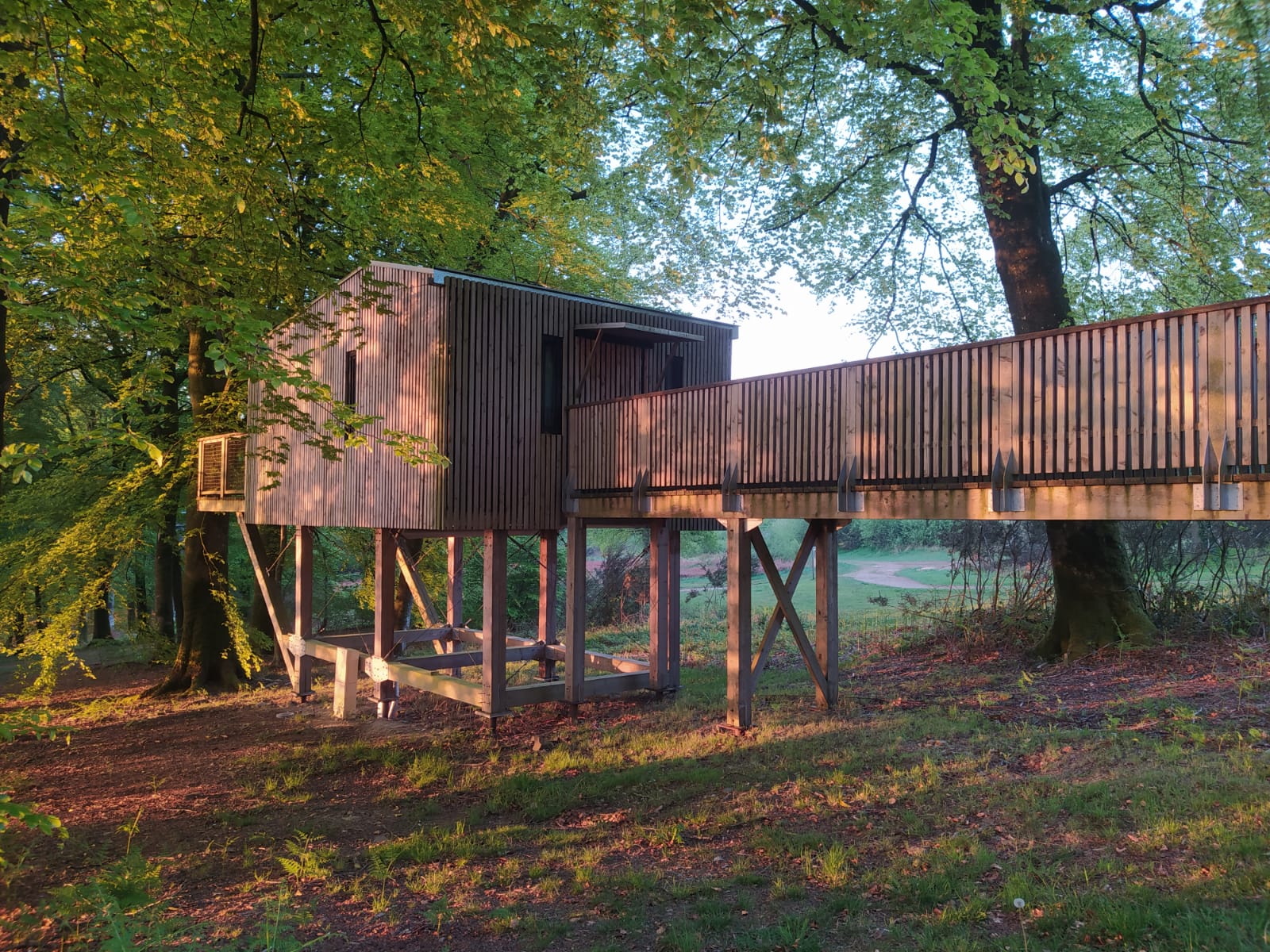 Évasion dans une cabane spa perchée en Basse-Normandie à Saint-Sever-Calvados — vue intérieure