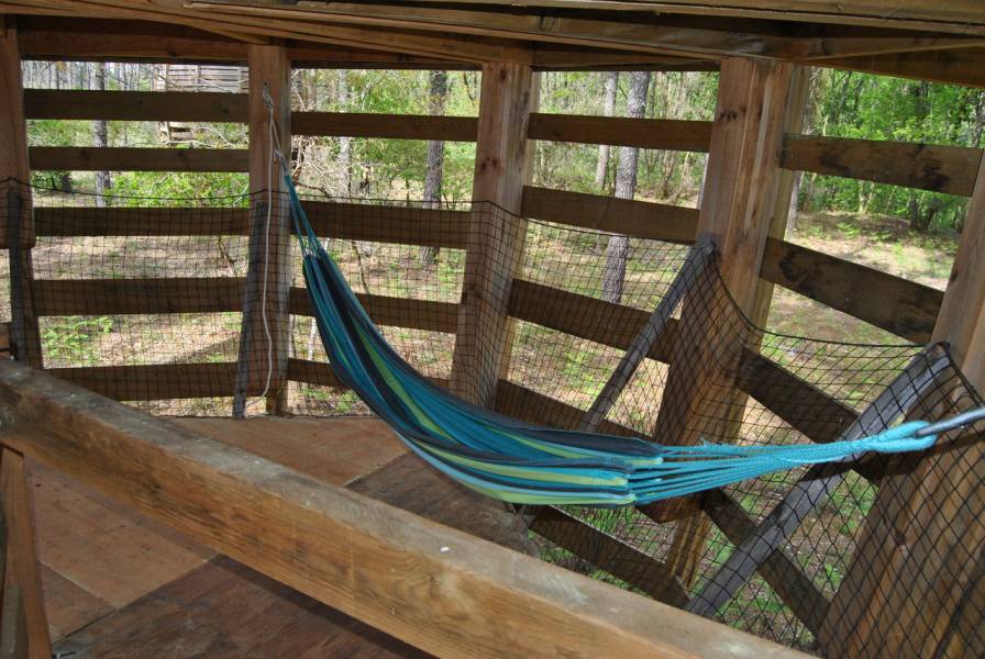 Cabane perchée en Aquitaine : une expérience insolite à Captieux — vue depuis la terrasse