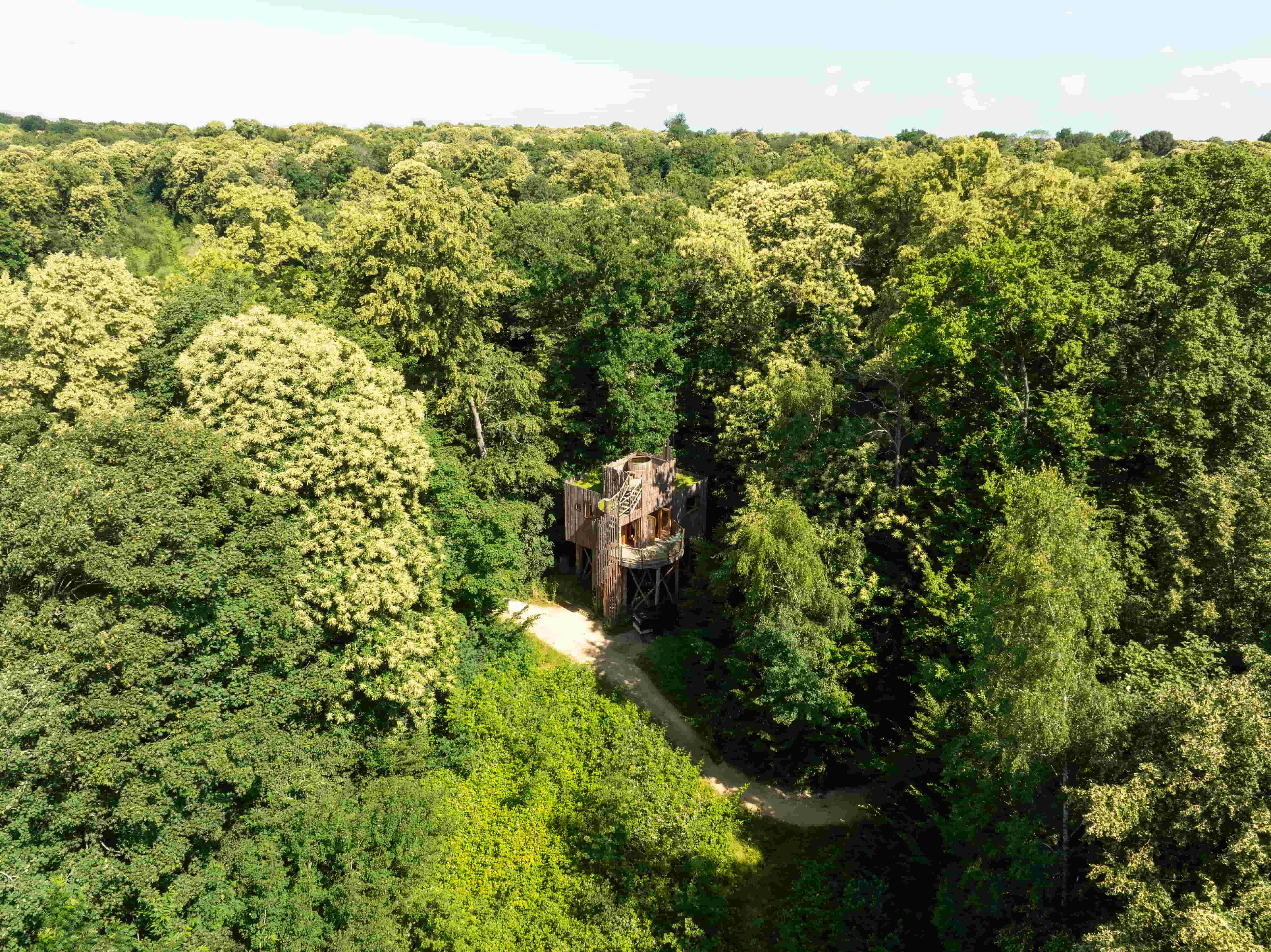 Cabane Spa Plus Mystérieuse : une évasion dans les arbres