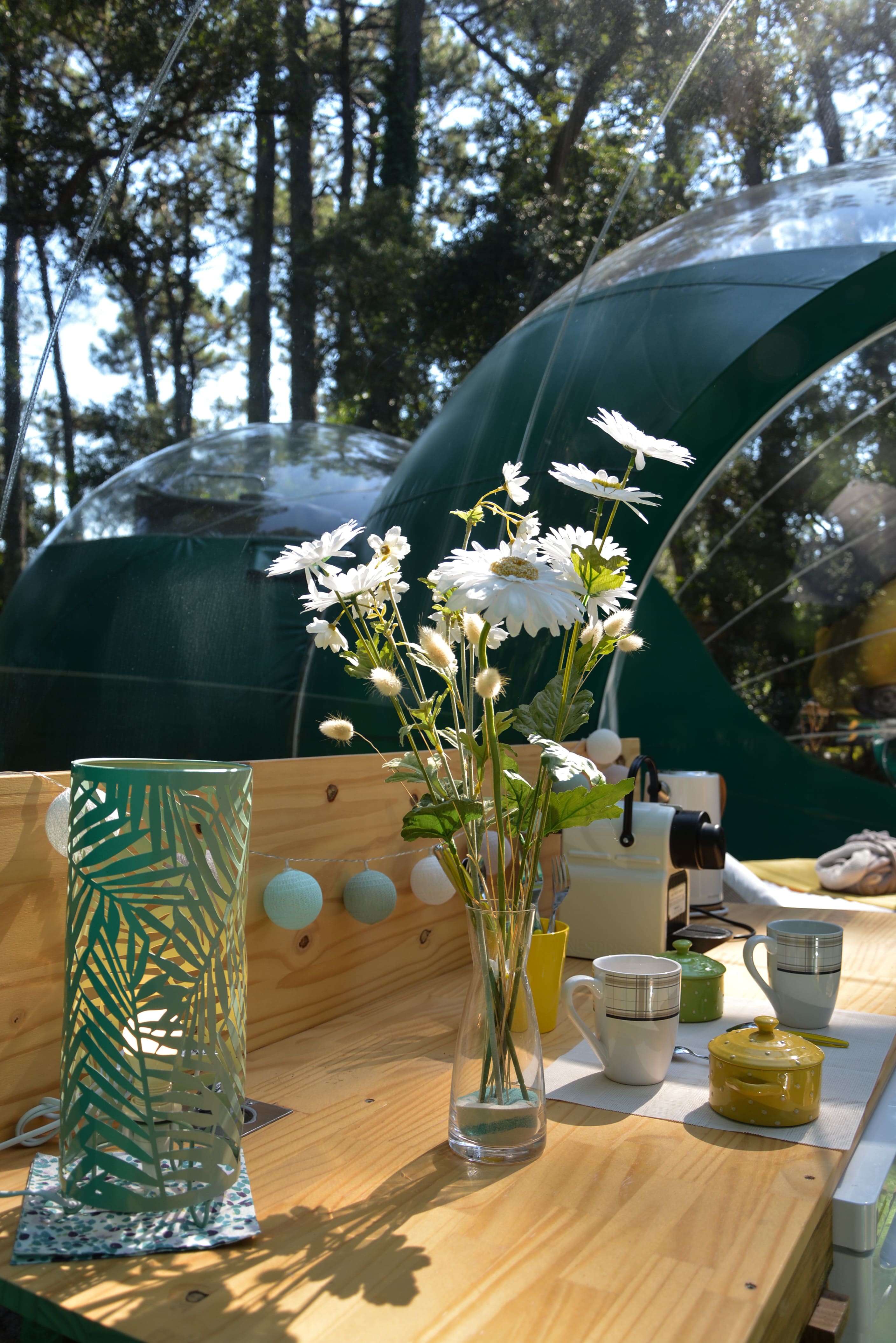 Bulle Verte d'Hossegor & Spa