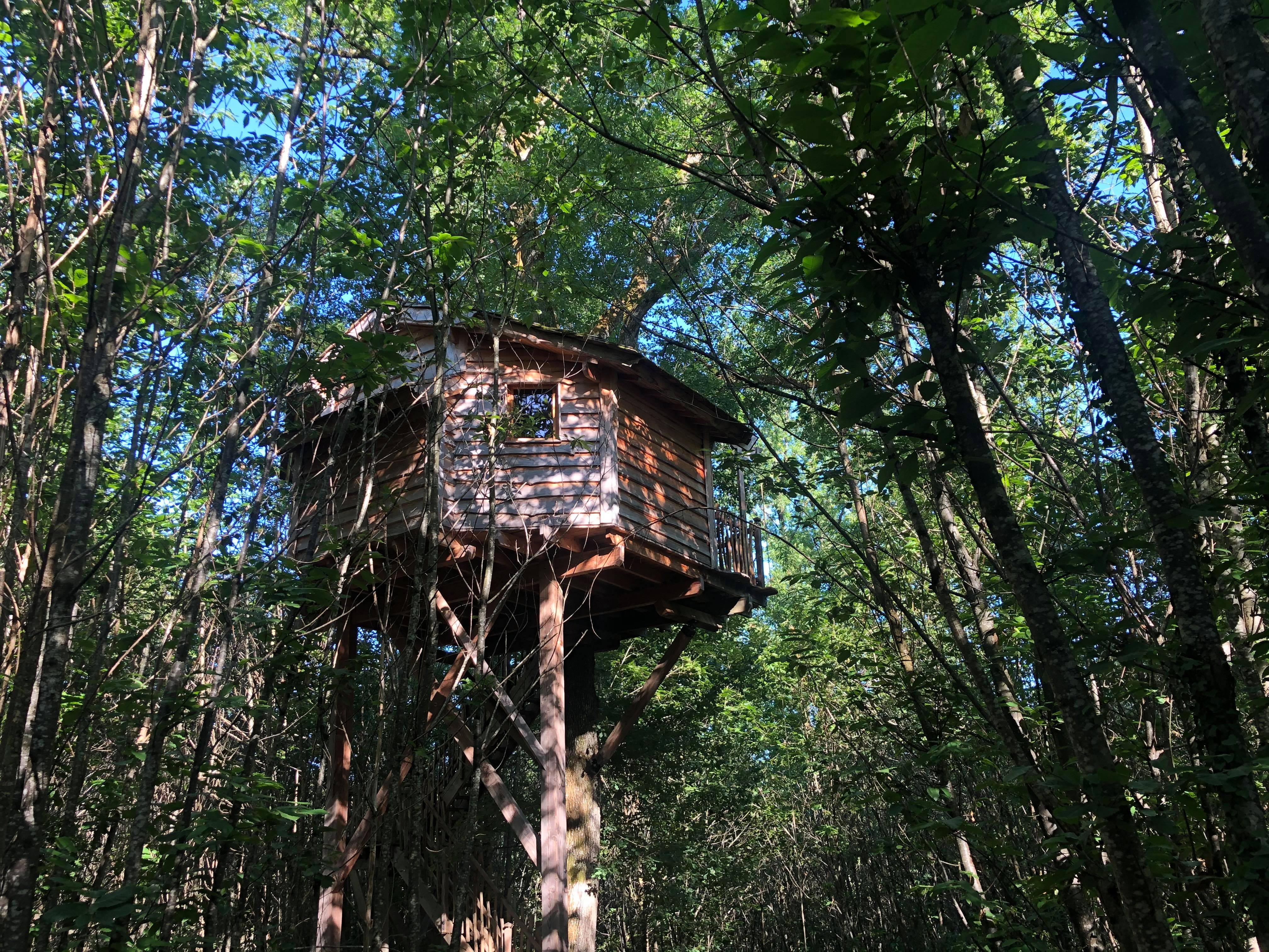 Photo 8/9 — Cabane dans les arbres « Cabane Ecureuil — Nuit perchée à 8m dans les arbres en Dordogne » à Alles-sur-Dordogne…