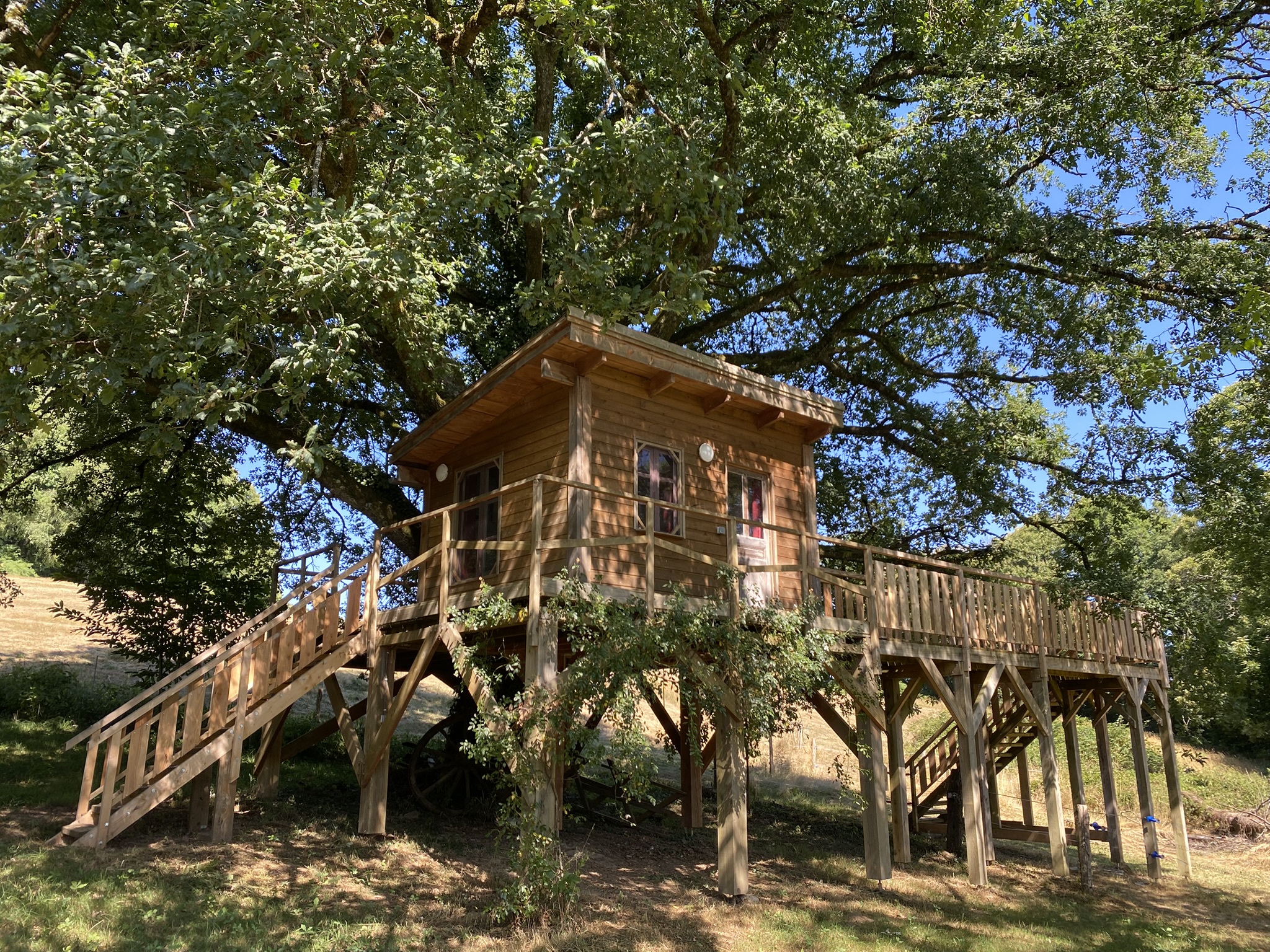 La Cabane dans le chêne tricentenaire — Cabane dans les arbres avec spa en Corrèze